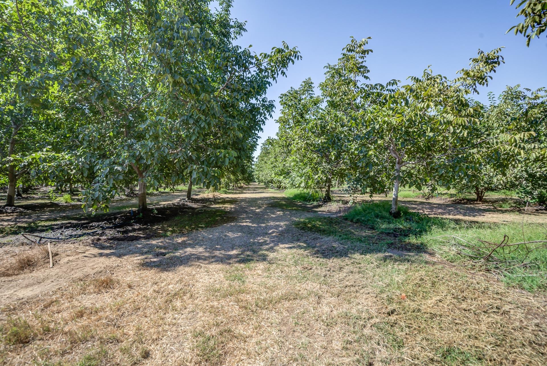 23622 Proberta Road Gerber, CA 96035 - Photo 63 of 72 Gallery Image 63