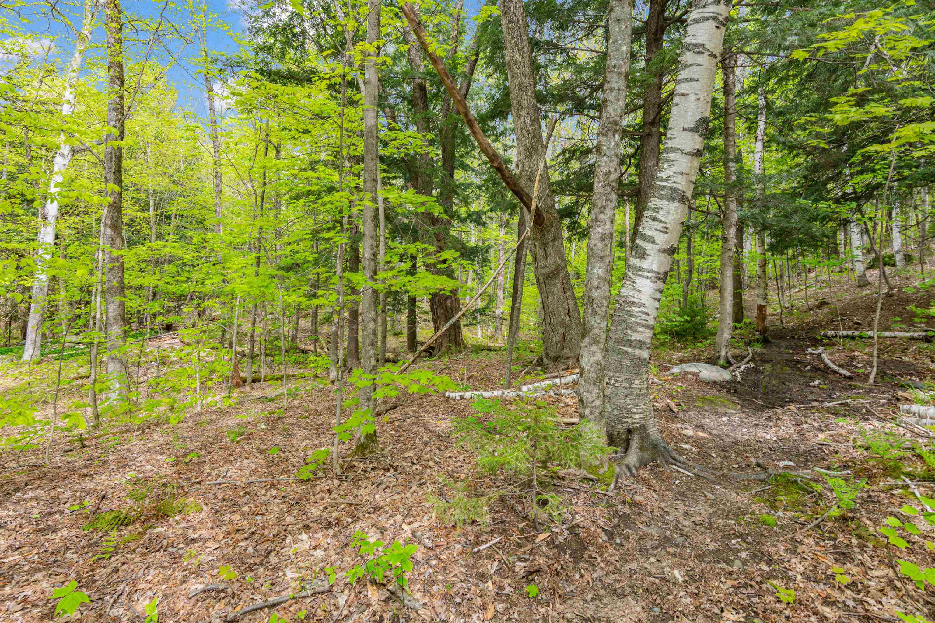 0 Phen Basin Road Waitsfield, VT 05673 - Photo 3 of 10