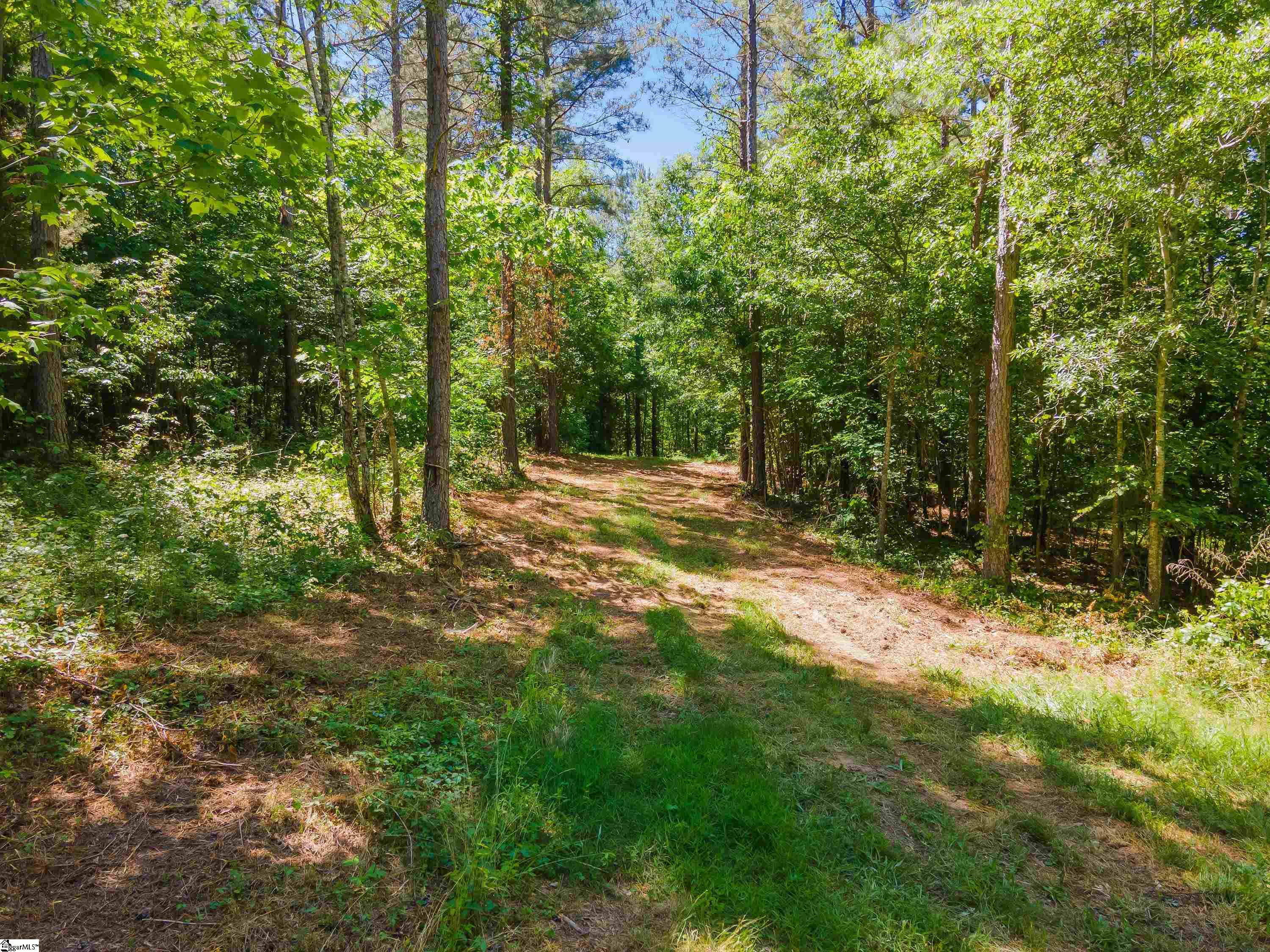 0 Cooley Bridge Road, Unit LOT 12 Belton, SC 29627 - Photo 13 of 19