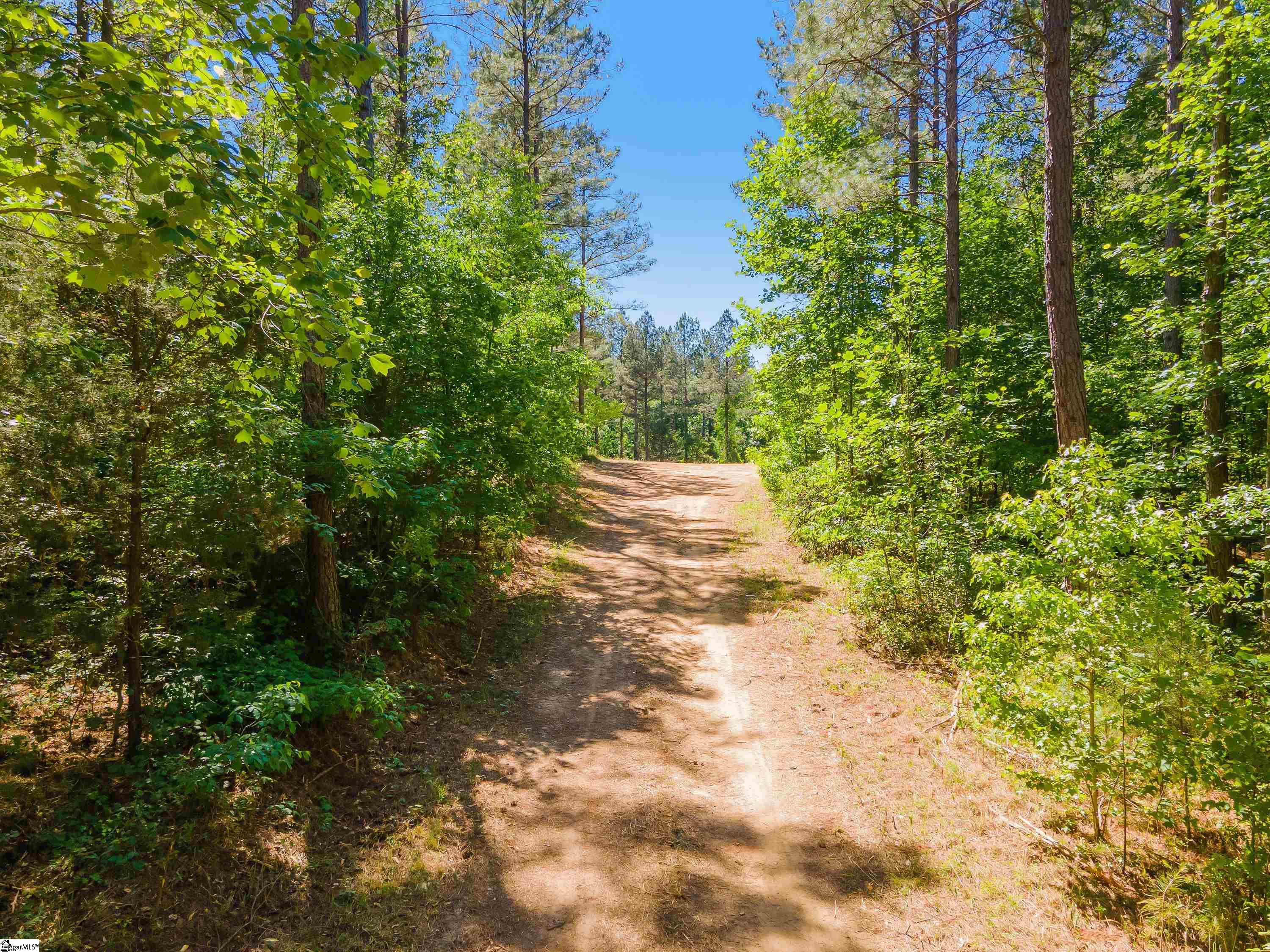 0 Cooley Bridge Road, Unit LOT 12 Belton, SC 29627 - Photo 16 of 19