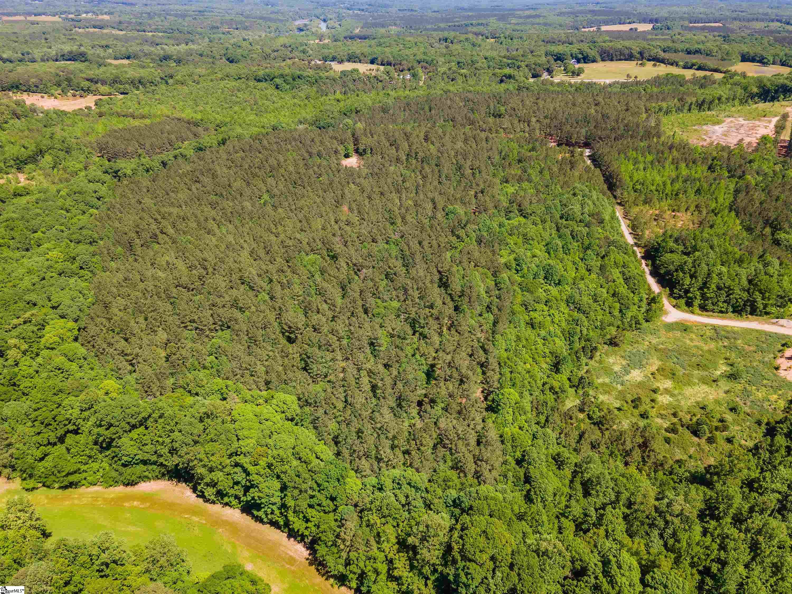 0 Cooley Bridge Road, Unit LOT 12 Belton, SC 29627 - Photo 8 of 19