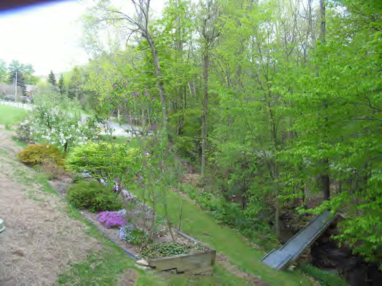 83 Lake Road Richmond, MA 01201 - Photo 5 of 6 a view of a outdoor space