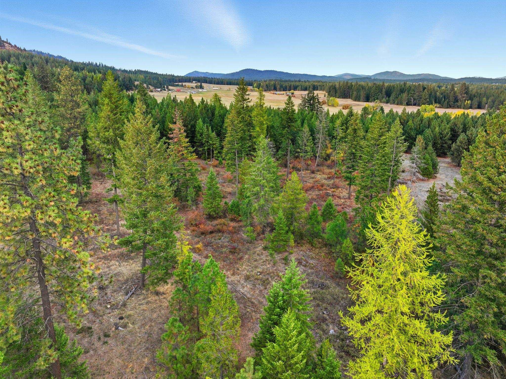 4710 B Price Road Clayton, WA 99110 - Photo 36 of 39 Gallery Image 36