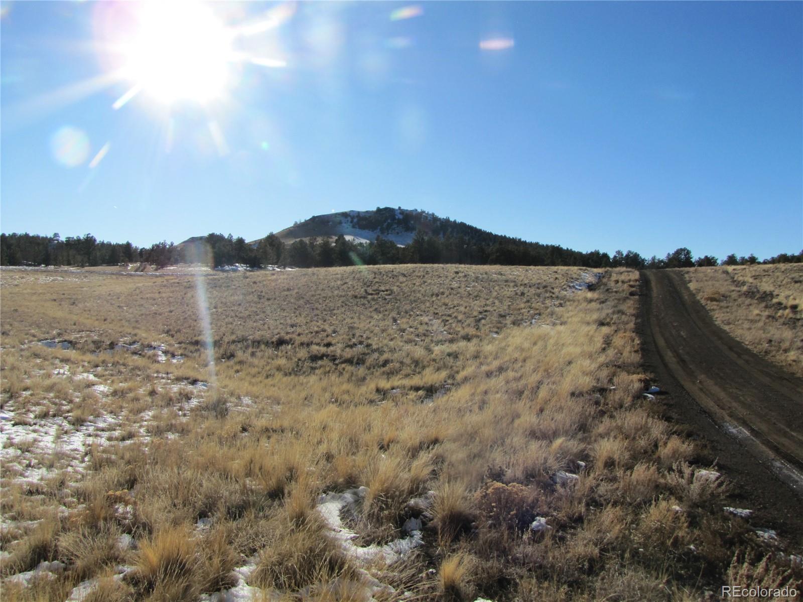 487 Falcon Road Hartsel, CO 80449 - Photo 8 of 13 a view of a dry yard with mountain