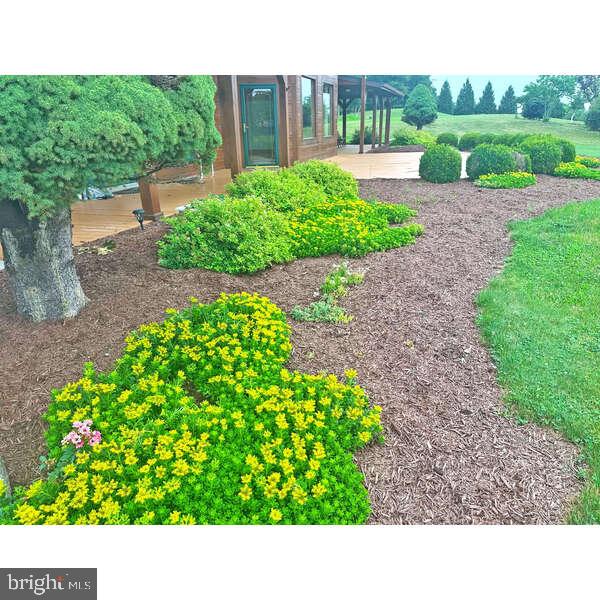 495 Ritchey Road Everett, PA 15537 - Photo 19 of 69 Vibrant blooms in a serene landscape.