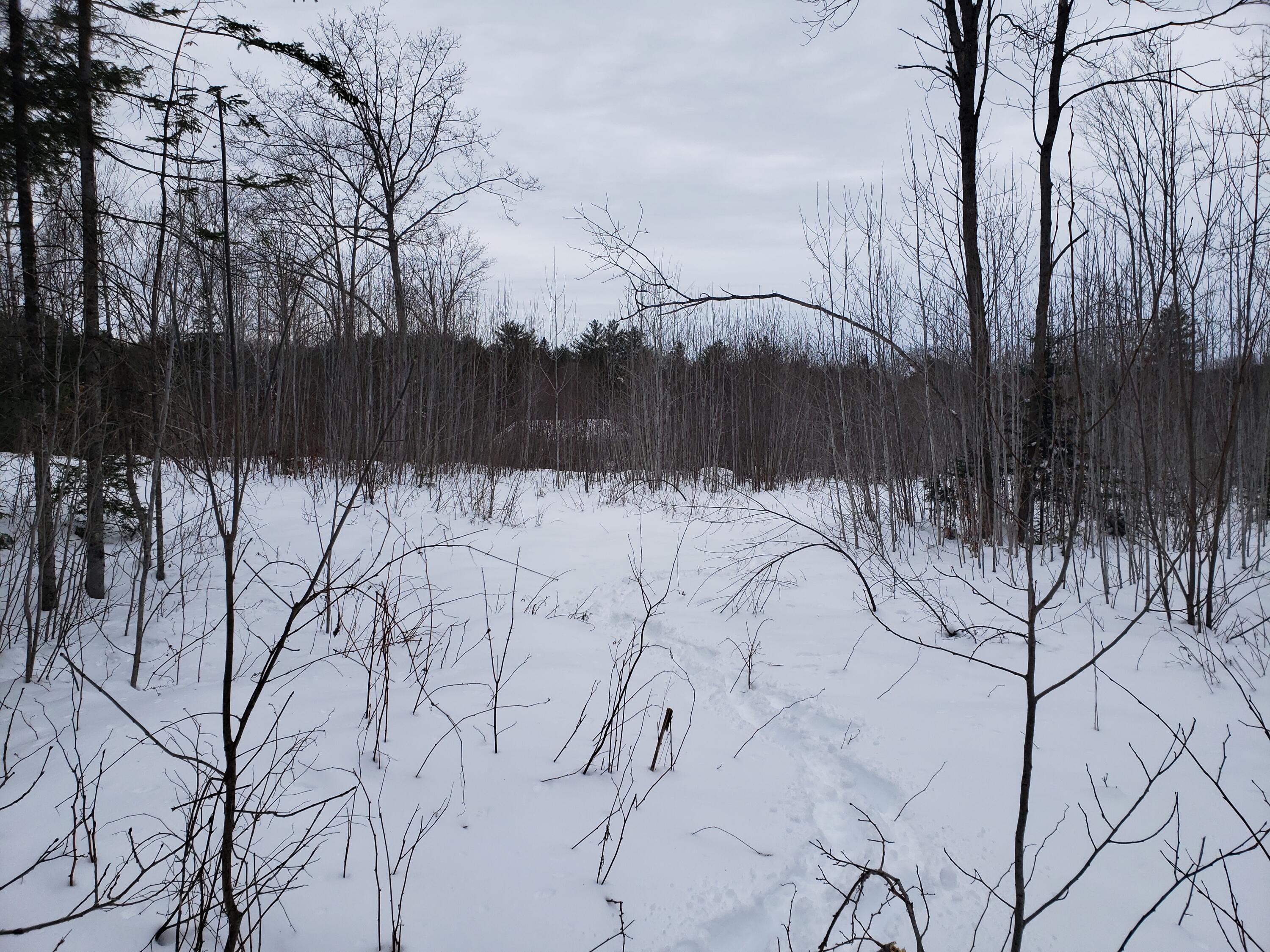 363 Lane Road New Sharon, ME 04955 - Photo 75 of 89 20230125_125900 - Copy