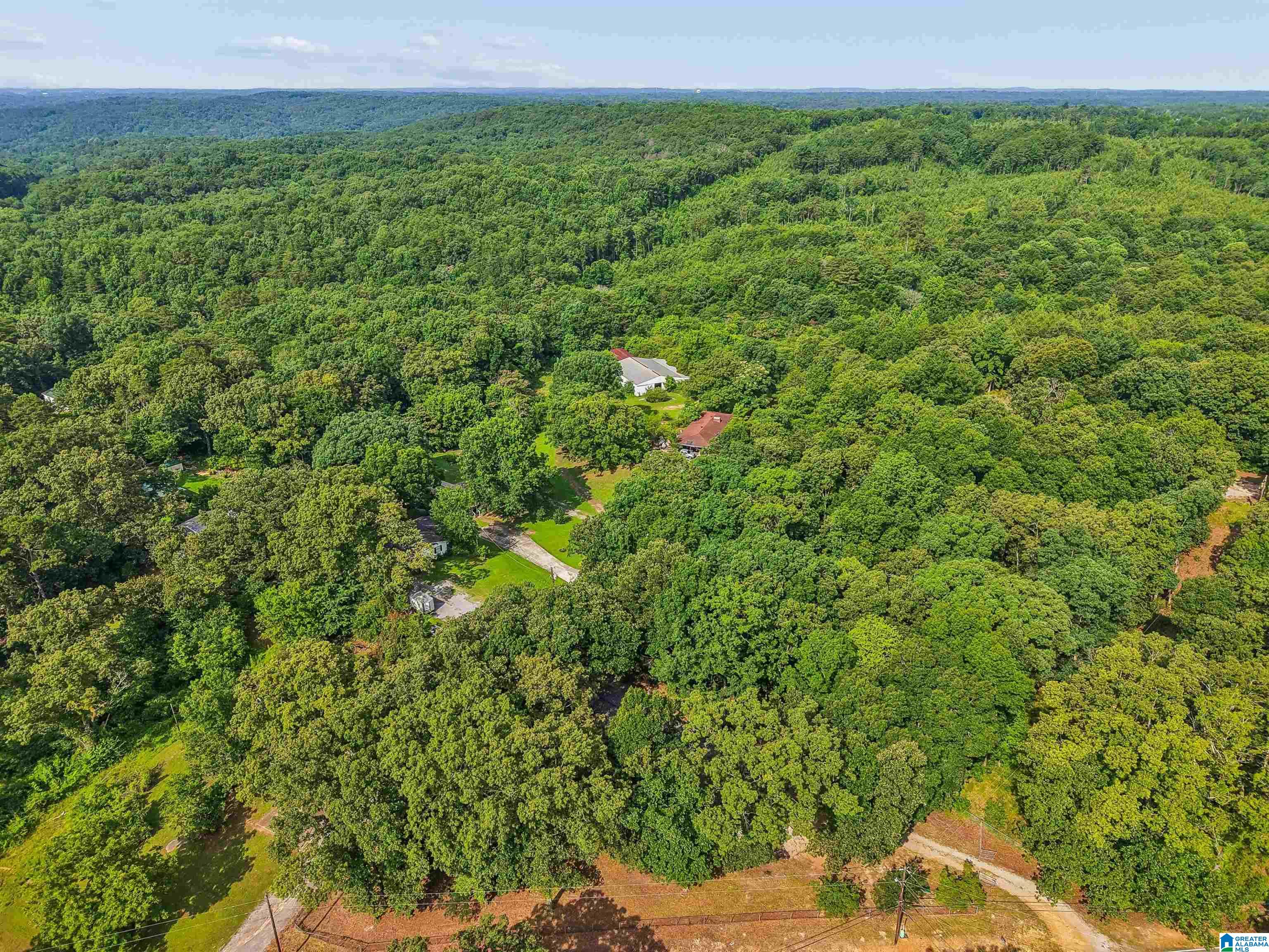 6086 Castle Heights Road Morris, AL 35116 - Photo 38 of 45