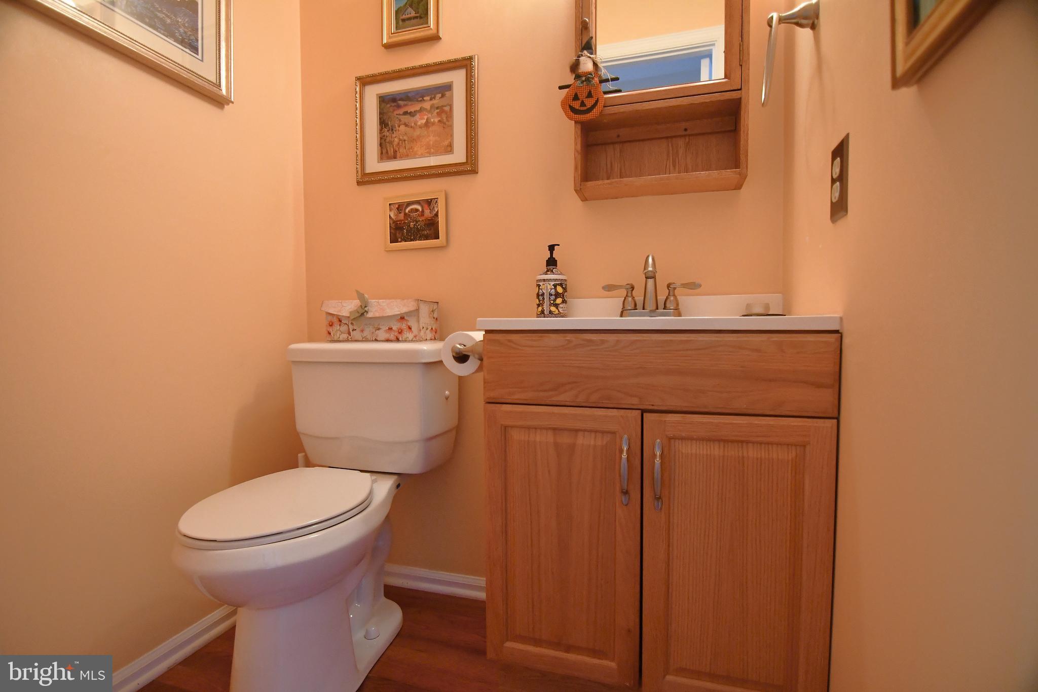 536 Waltham Lane Perkasie, PA 18944 - Photo 13 of 38 Powder Room