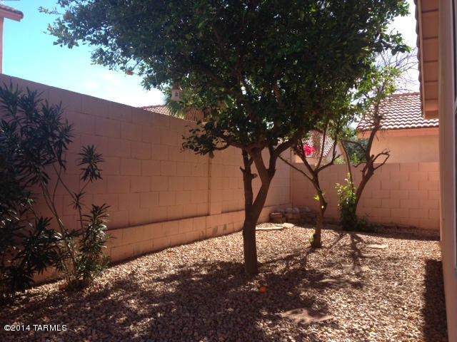 3593 West Sky Ridge Loop Tucson, AZ 85742 - Photo 15 of 22