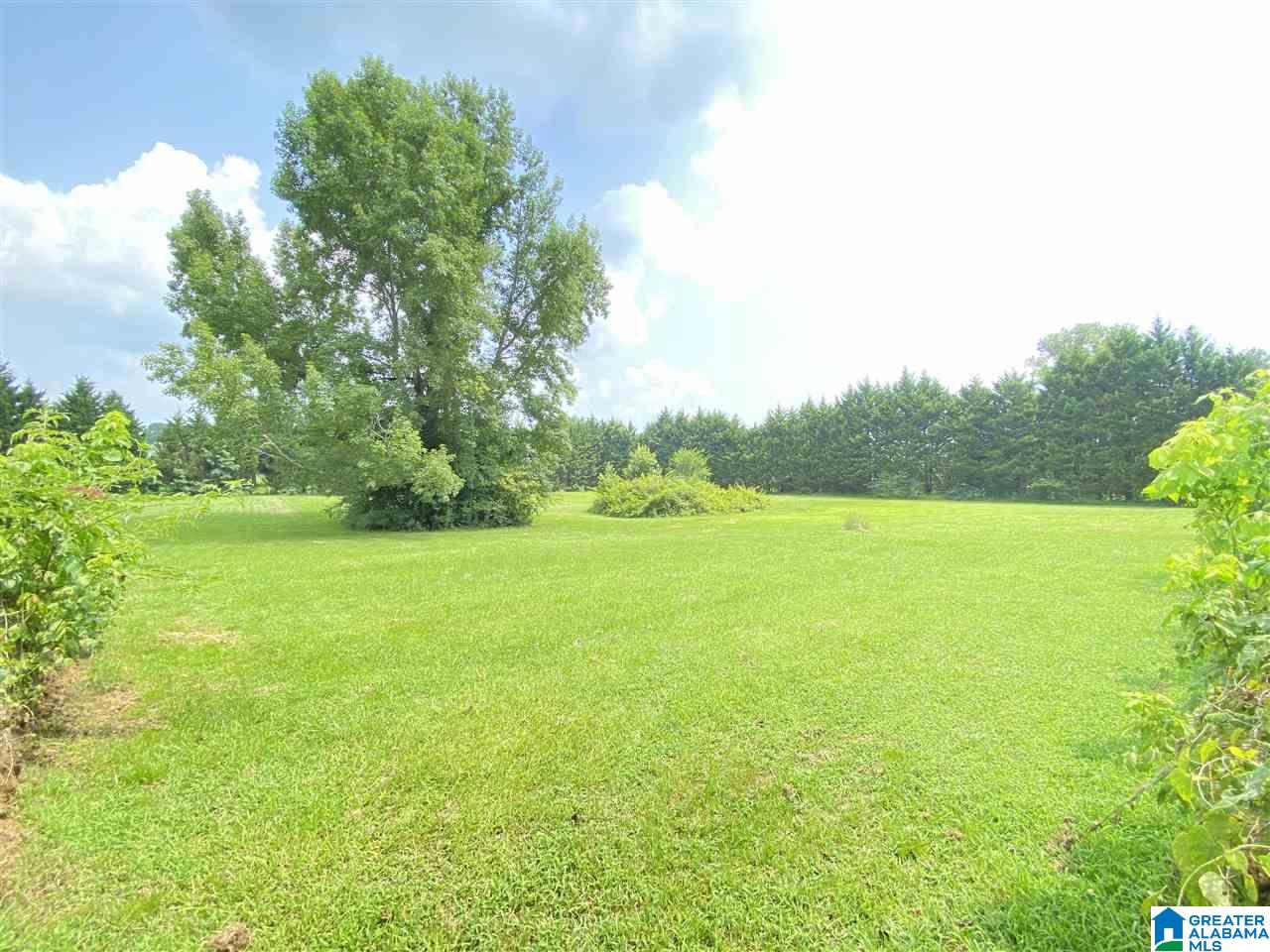 950 Coupland Road Odenville, AL 35120 - Photo 33 of 44