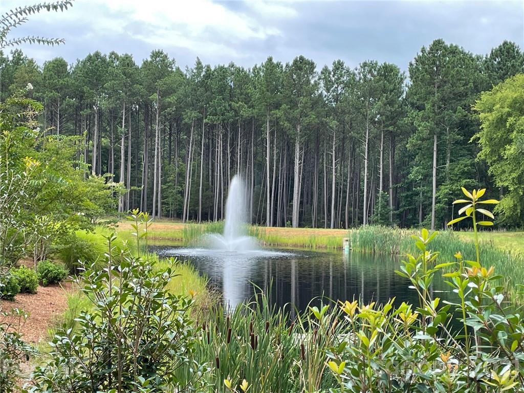 4286 Persimmon Road, Unit 36 Lancaster, SC 29720 - Photo 20 of 20 Gallery Image 20