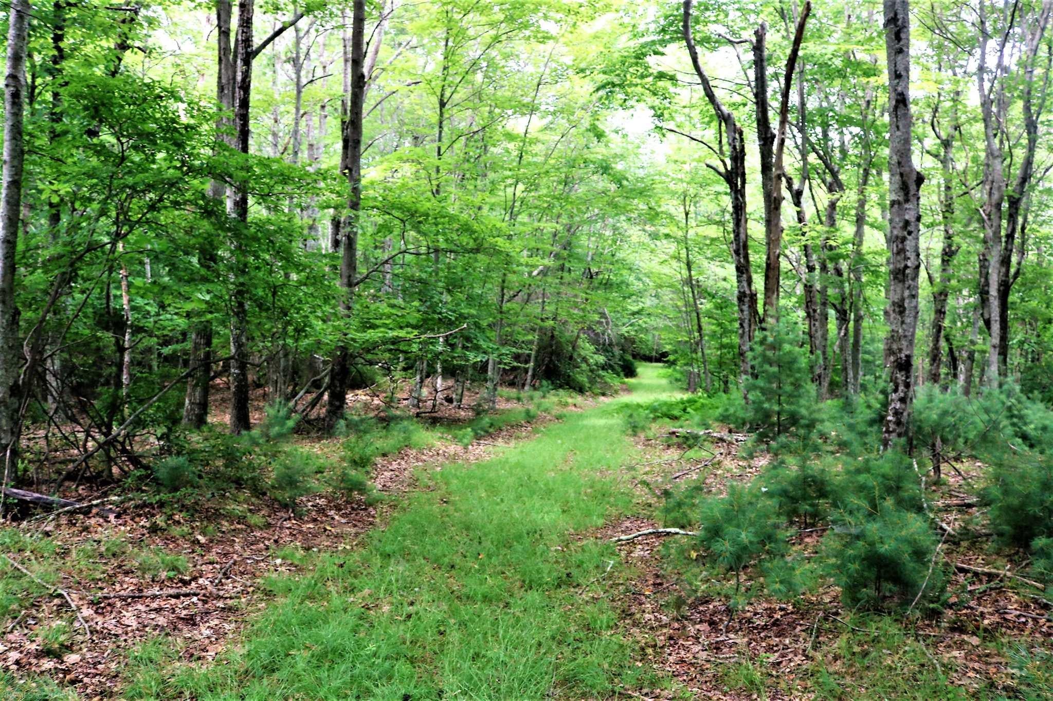 0 Black Ridge Road Southwest Floyd, VA 24091 - Photo 11 of 34 Gallery Image 11