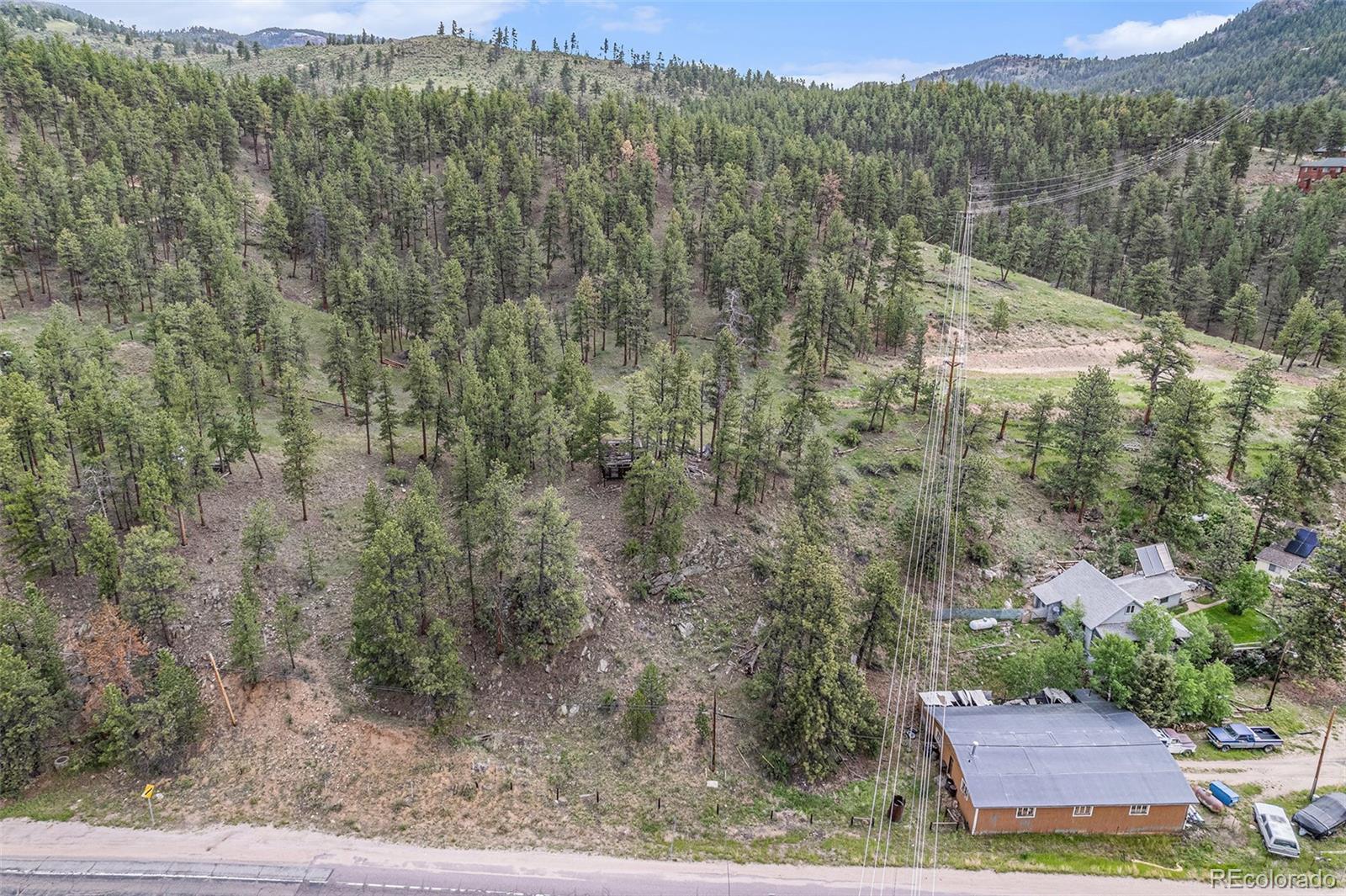60477 US Highway 285 Bailey, CO 80421 - Photo 4 of 10 a view of a lot of a forest