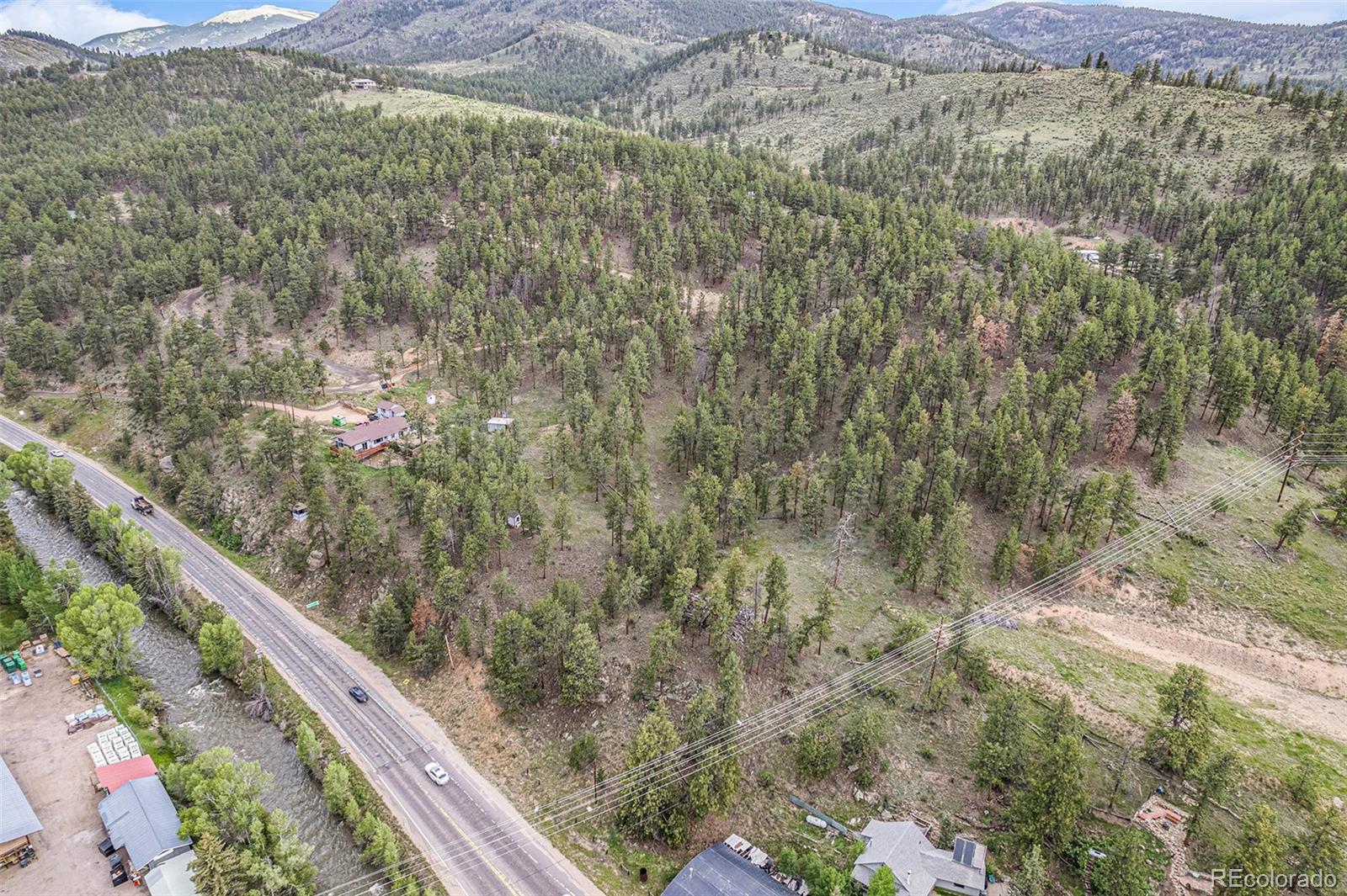 60477 US Highway 285 Bailey, CO 80421 - Photo 5 of 10 a view of a forest with a tree