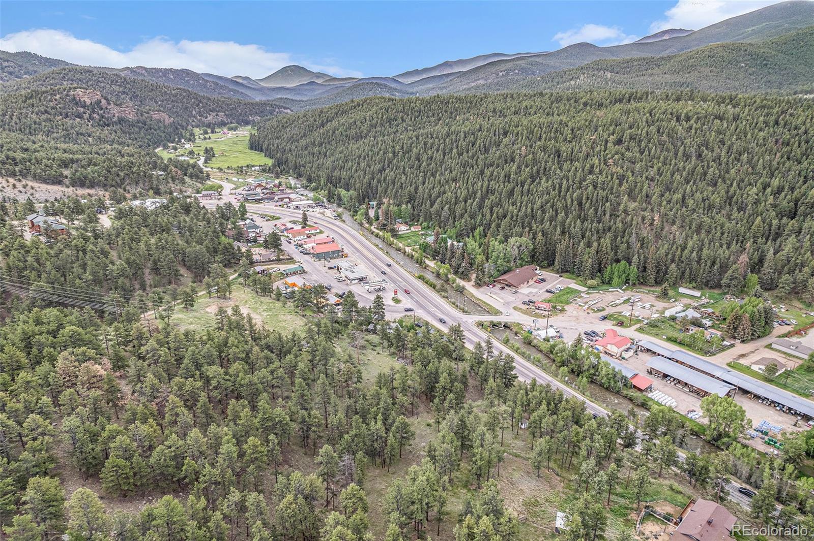 60477 US Highway 285 Bailey, CO 80421 - Photo 6 of 10 a view of a forest with a mountain