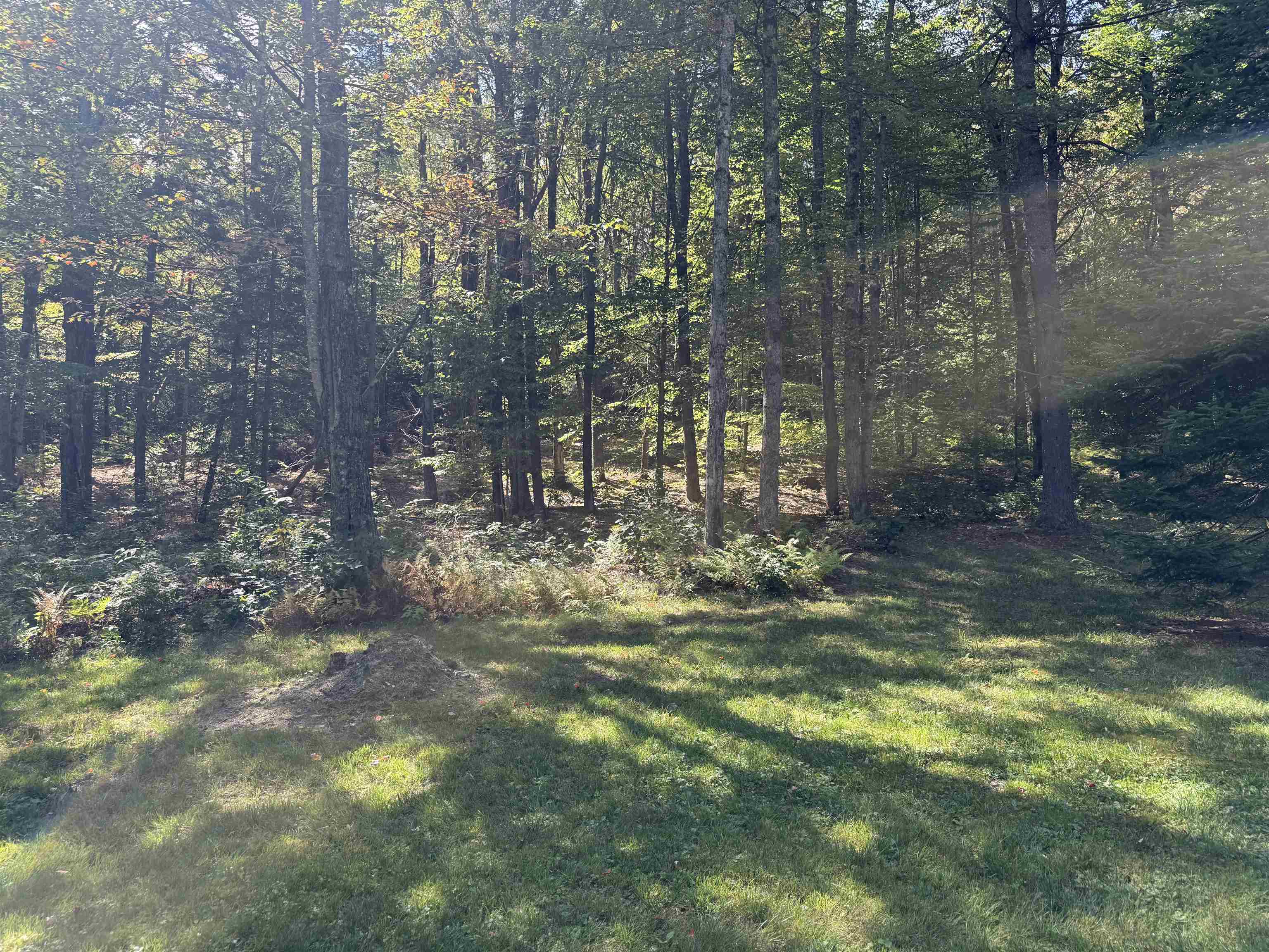 547 Williams Road Chester, VT 05143 - Photo 7 of 60