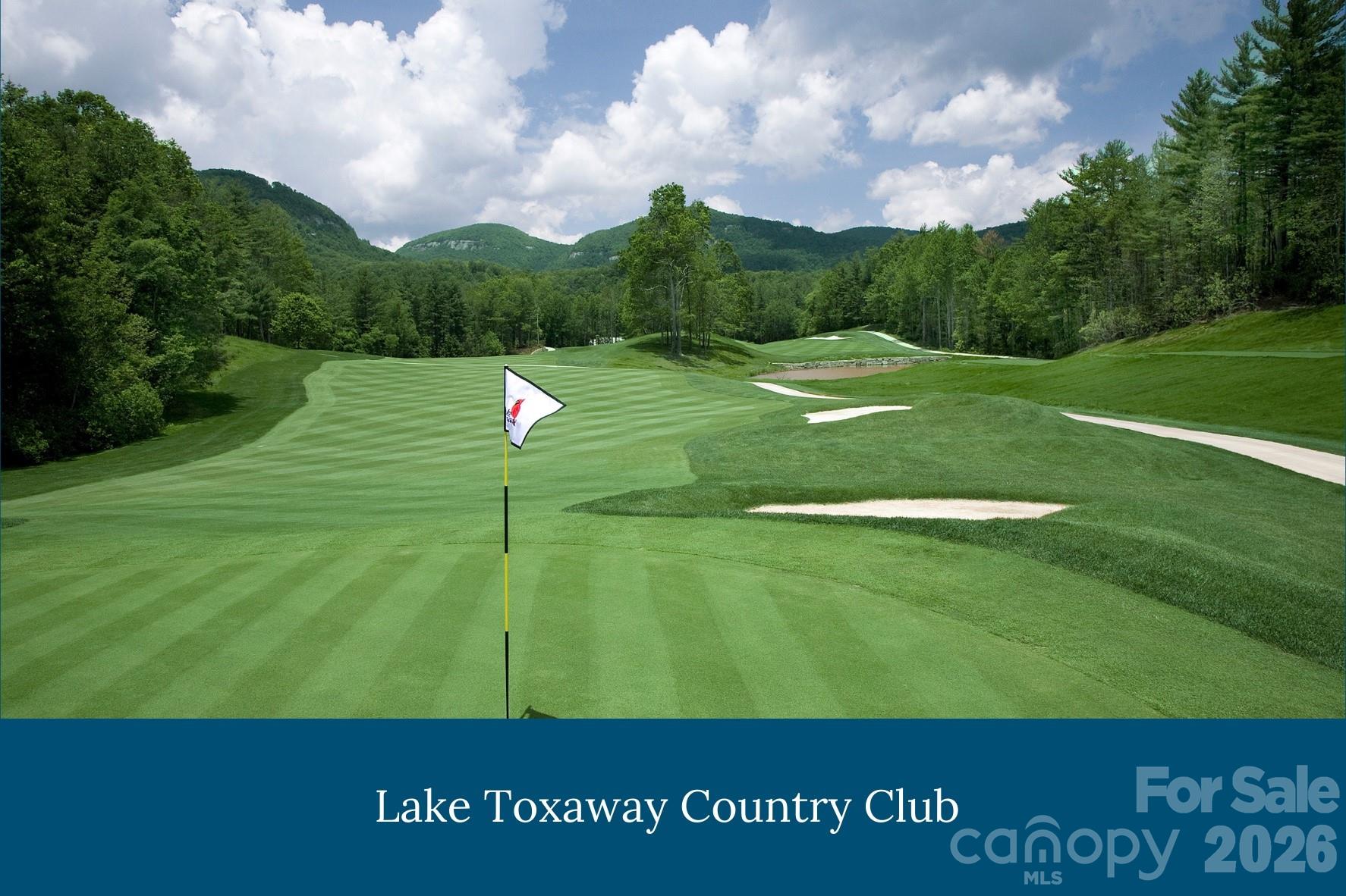 562 Panther Ridge Road Lake Toxaway, NC 28747 - Photo 44 of 47 Gallery Image 44