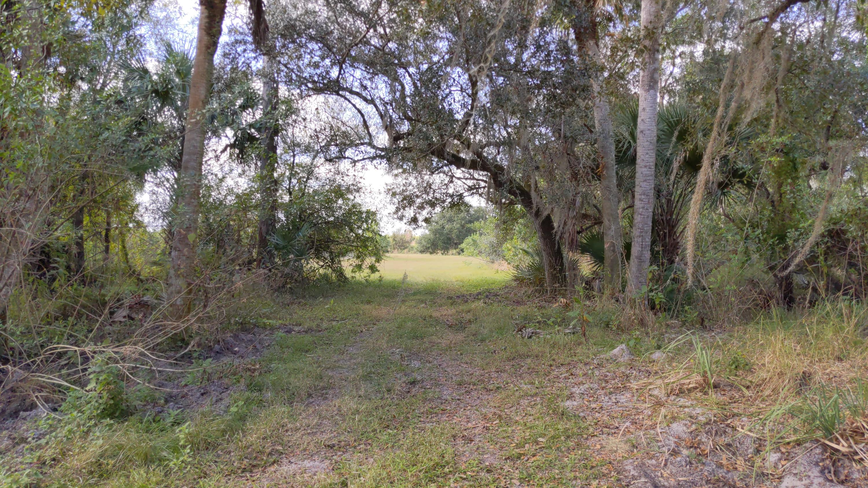 7851 Southwest Fox Brown Road Indiantown, FL 34956 - Photo 50 of 67 IMG_20210109_114251