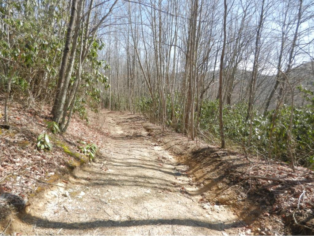 1861 Dennis Cove Road Hampton, TN 37658 - Photo 18 of 30 Perfect for hiking4wheeling