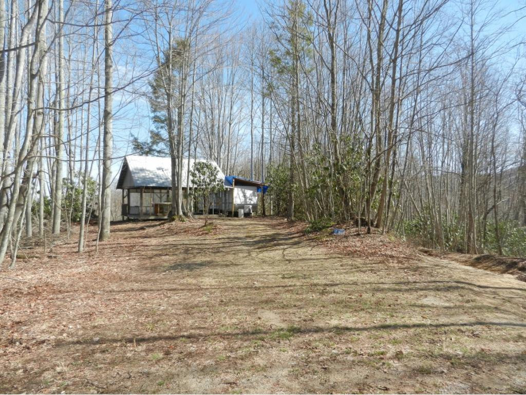 1861 Dennis Cove Road Hampton, TN 37658 - Photo 3 of 30 Perfect place to relax