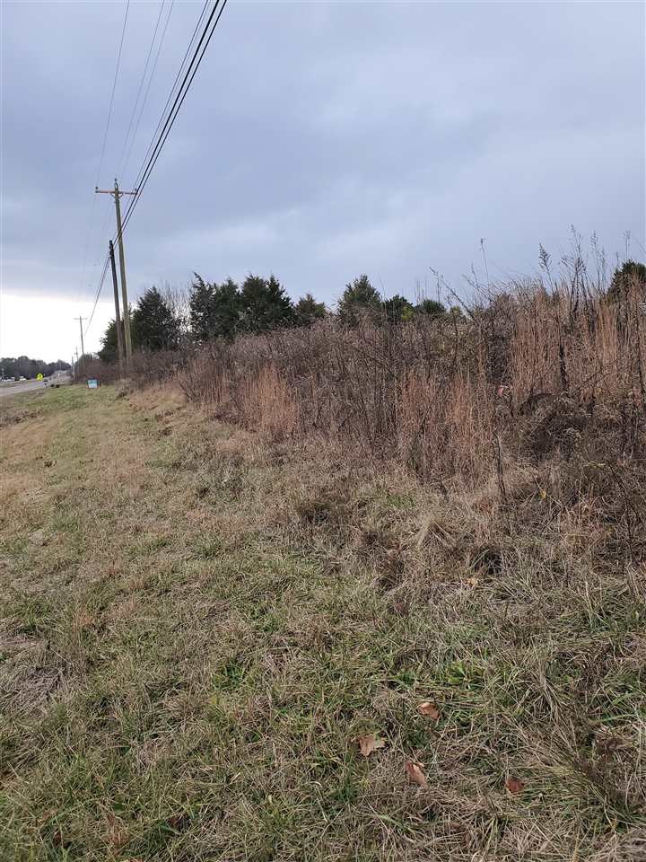 3484 Highway 11 Riceville, TN 37370 - Photo 5 of 5
