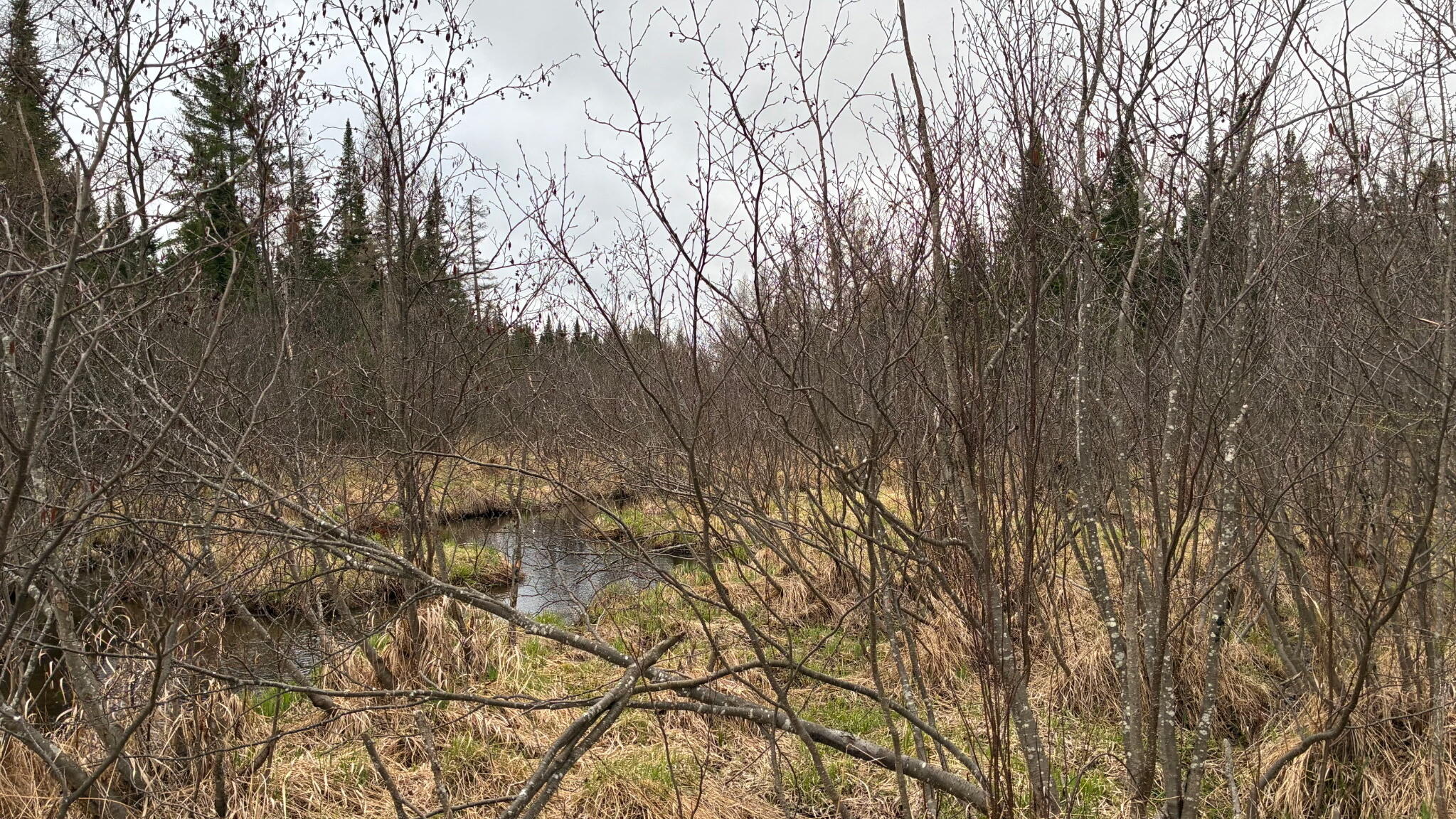 0 Standish Road Saranac, NY 12981 - Photo 5 of 11 Standish Road 86 Acres