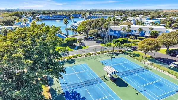 a view of a backyard with plants and outdoor seating
