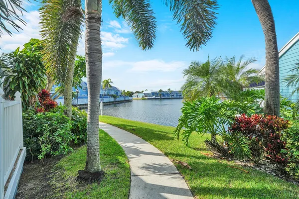 a view of a garden with a lake