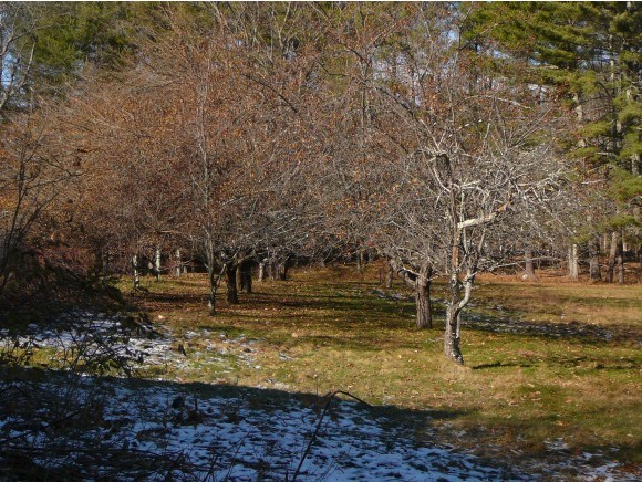 20 Pinkham Road Middleton, NH 03887 - Photo 4 of 19