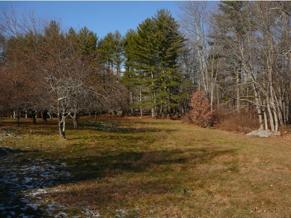 20 Pinkham Road Middleton, NH 03887 - Photo 5 of 19