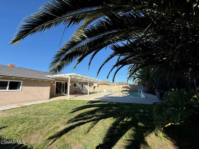 a view of a yard with plants