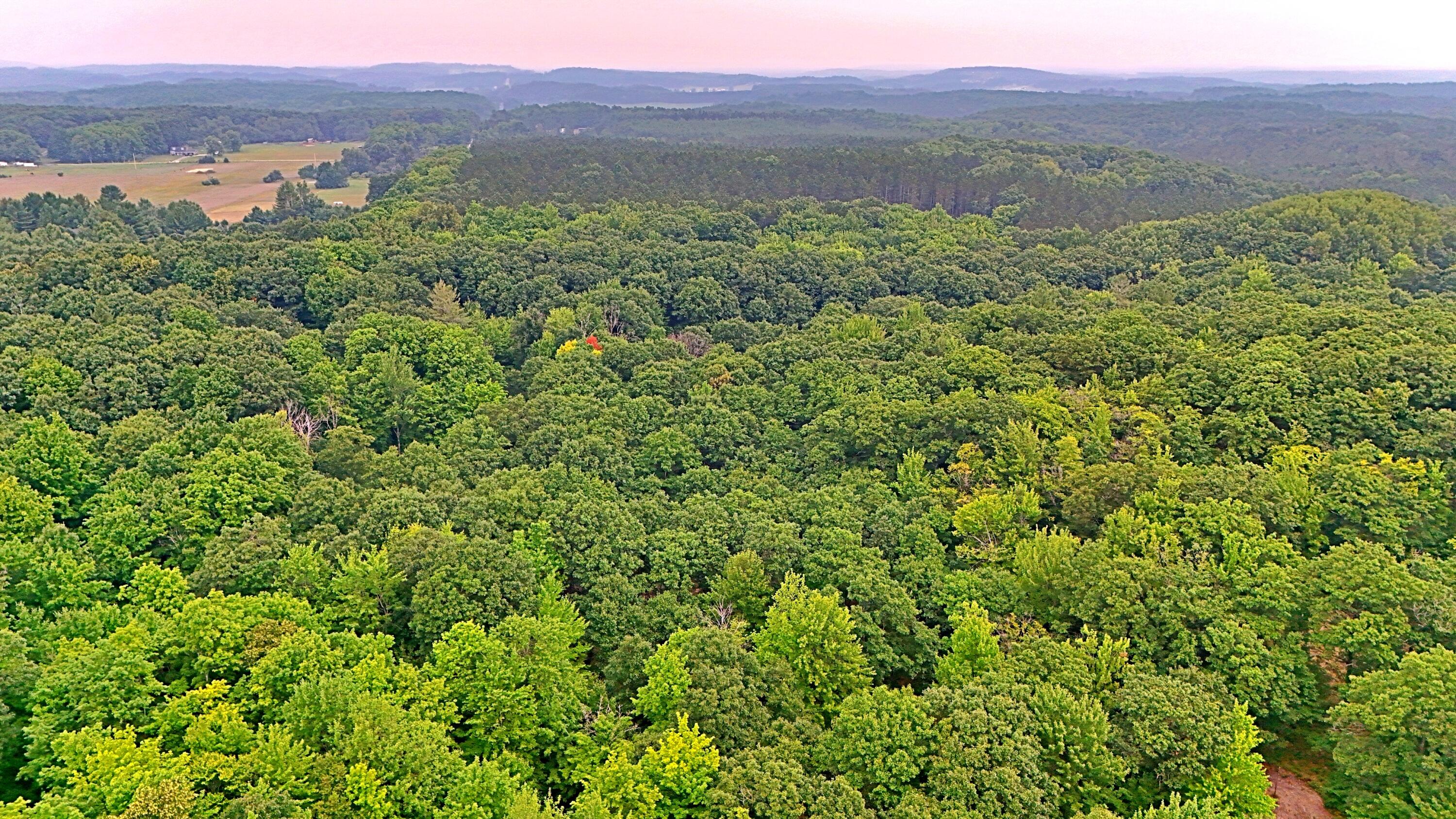 2093 North 47 Road Manton, MI 49663 - Photo 11 of 19 batch_DJI_20250730085839_0236_D