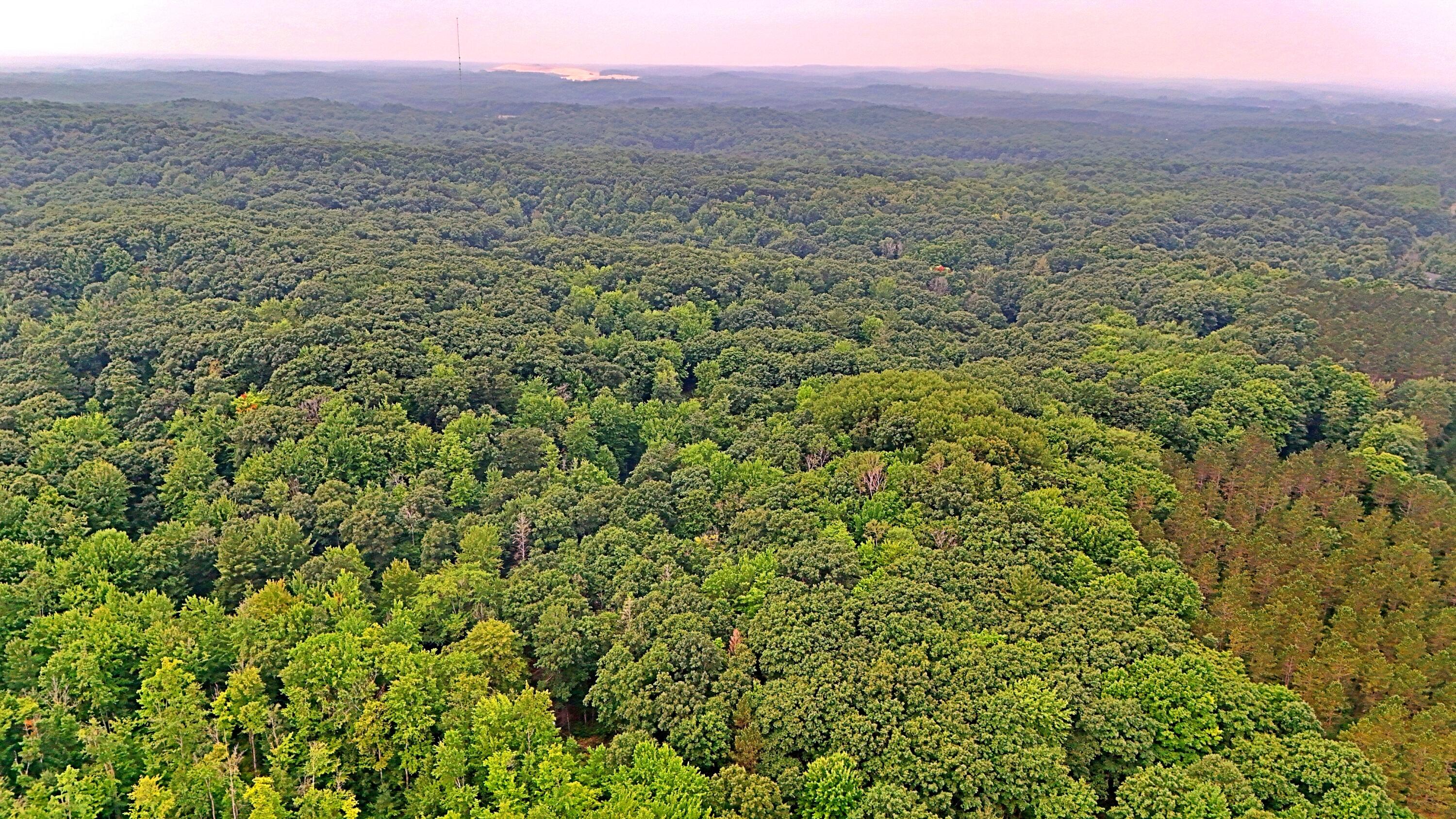 2093 North 47 Road Manton, MI 49663 - Photo 12 of 19 batch_DJI_20250730090029_0239_D