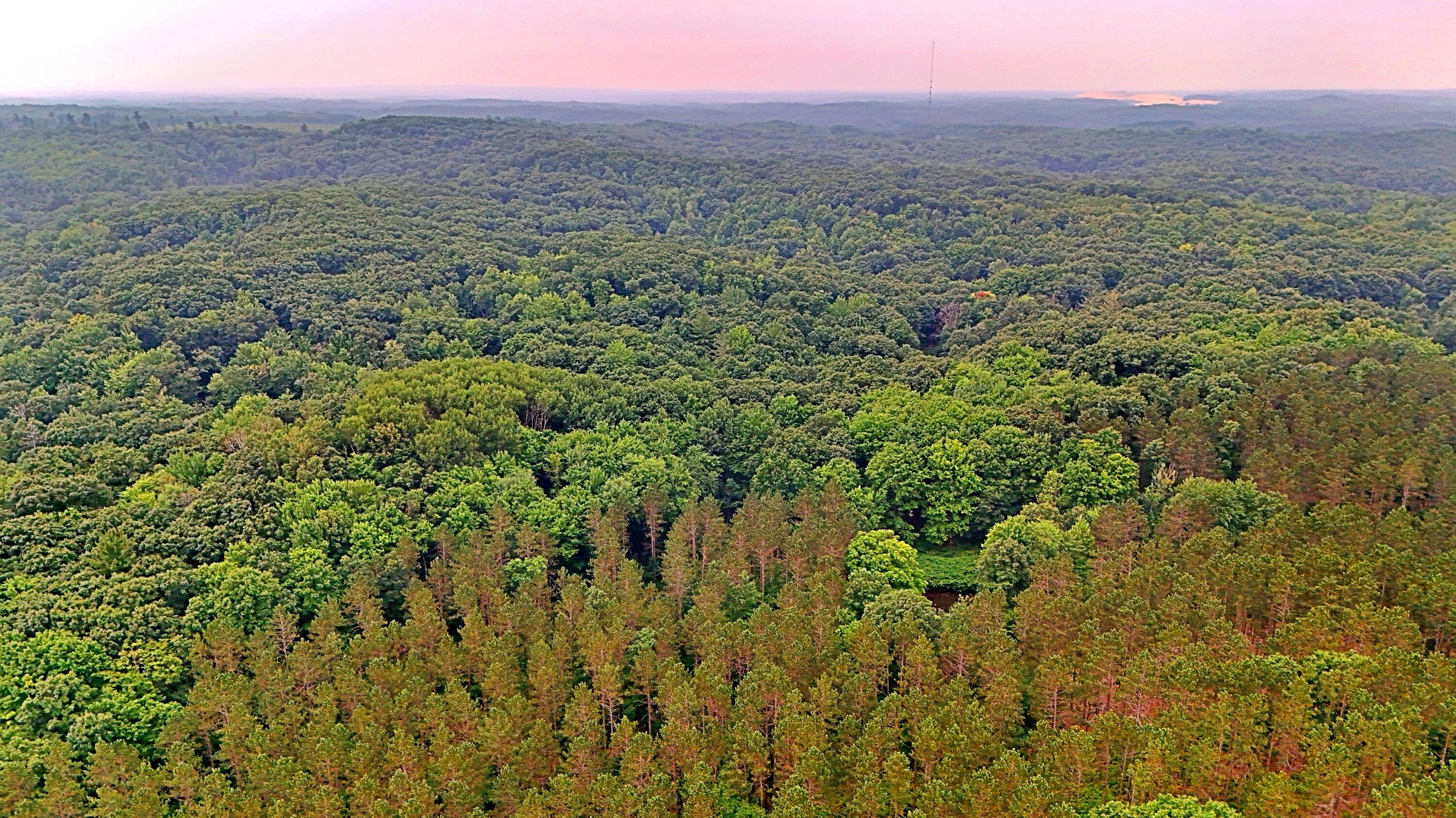 2093 North 47 Road Manton, MI 49663 - Photo 13 of 19 batch_DJI_20250730090102_0240_D