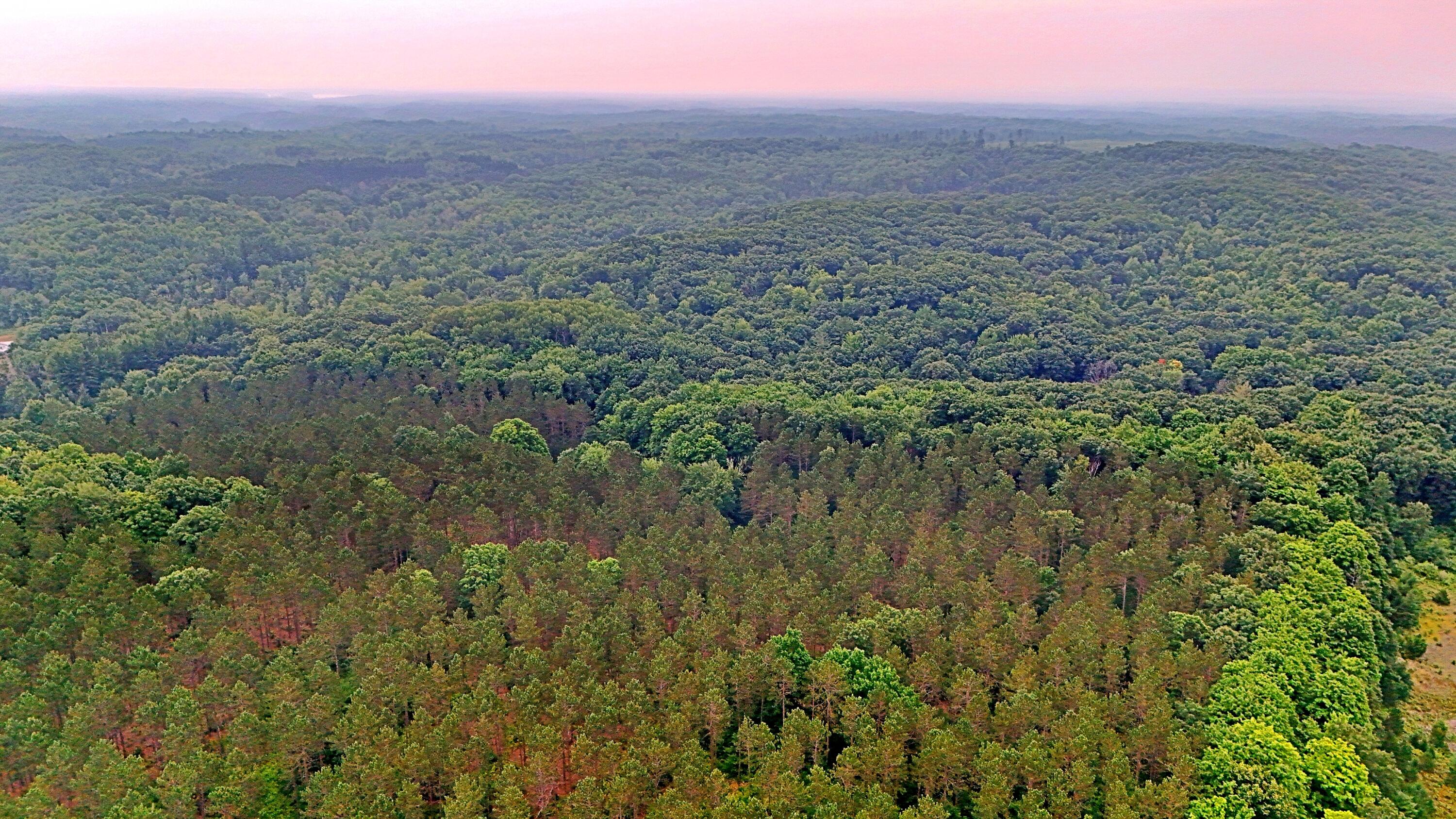 2093 North 47 Road Manton, MI 49663 - Photo 14 of 19 batch_DJI_20250730090201_0242_D