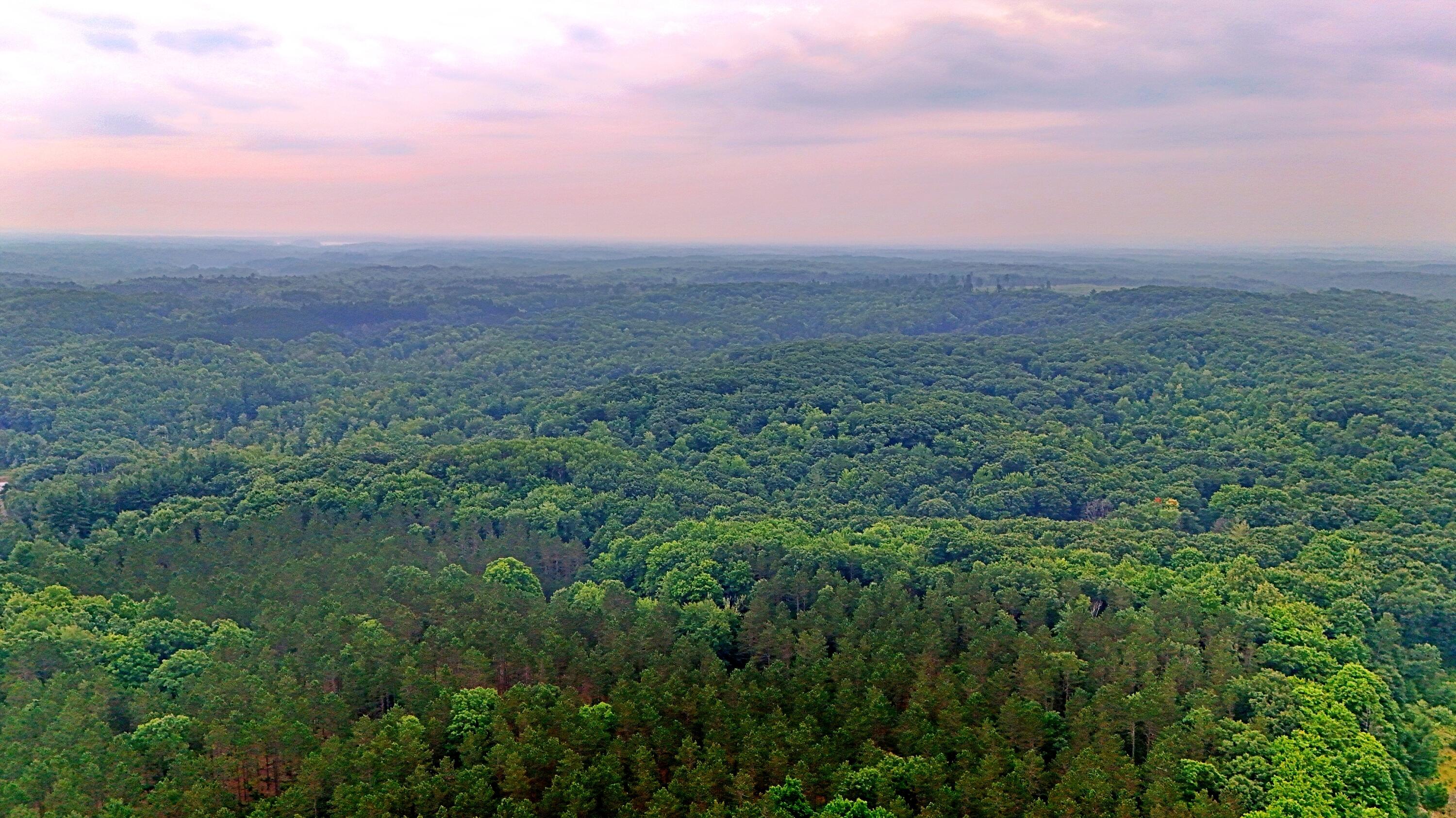 2093 North 47 Road Manton, MI 49663 - Photo 15 of 19 batch_DJI_20250730090209_0244_D