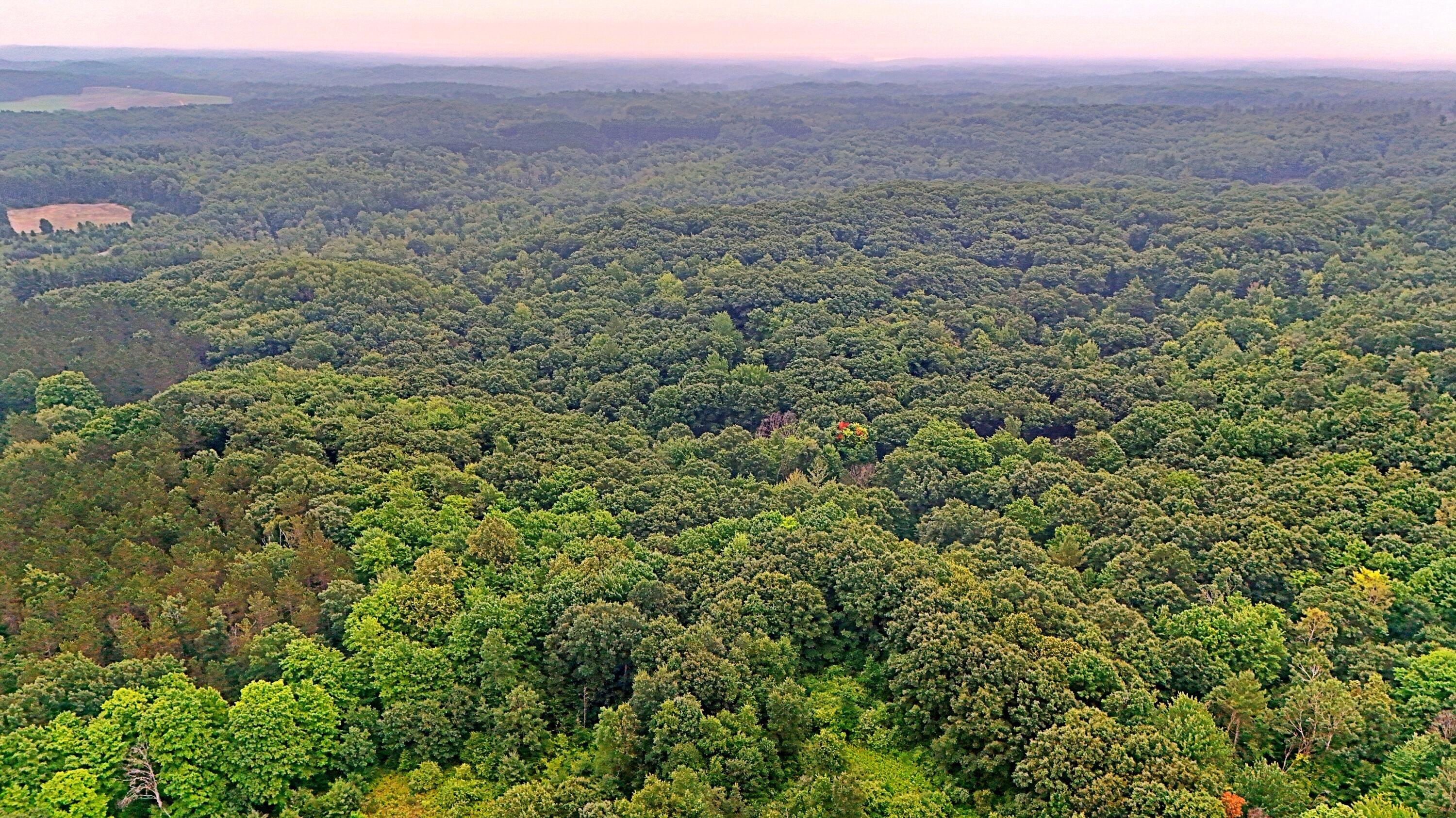 2093 North 47 Road Manton, MI 49663 - Photo 16 of 19 batch_DJI_20250730090241_0245_D