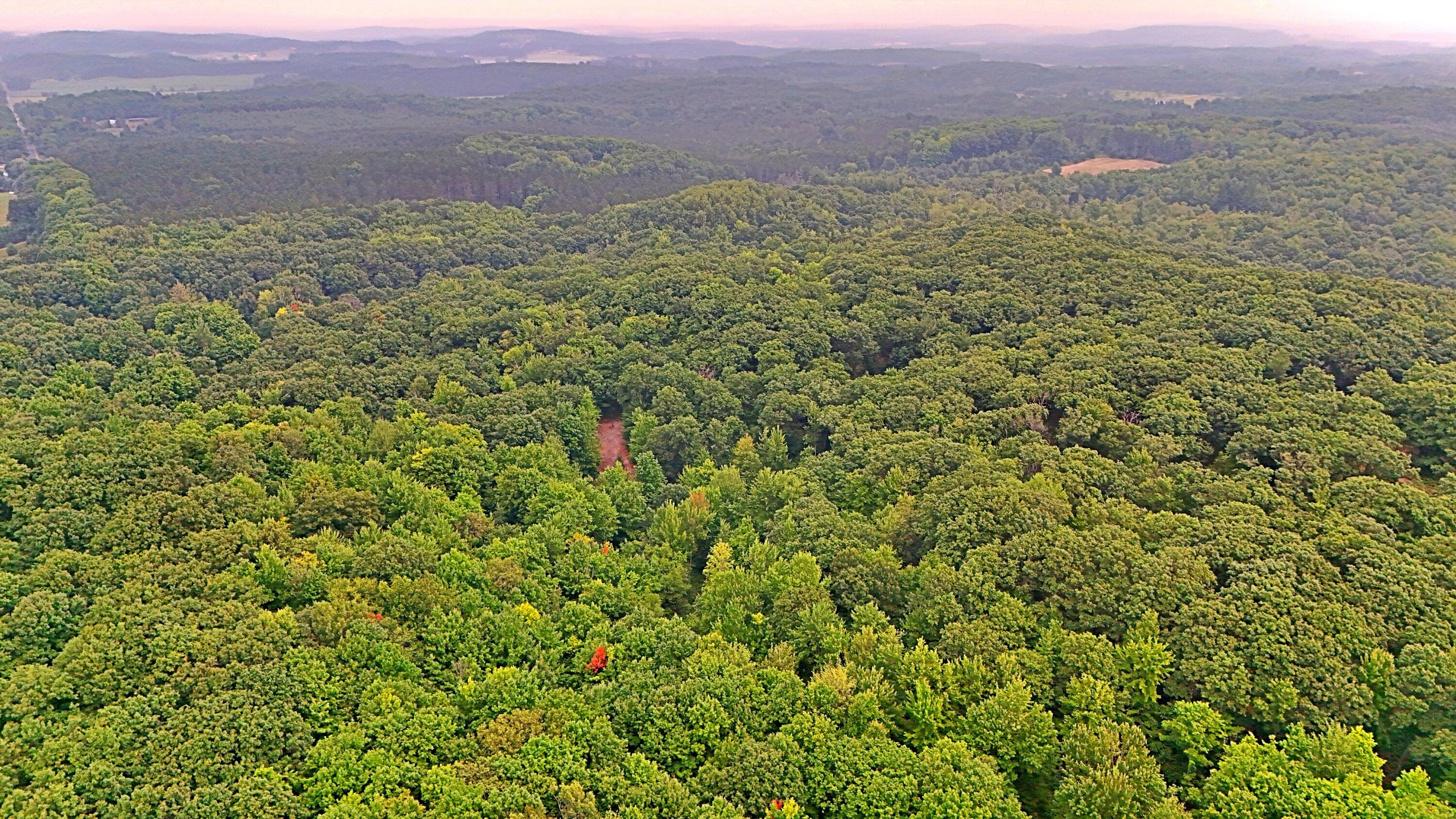 2093 North 47 Road Manton, MI 49663 - Photo 17 of 19 batch_DJI_20250730090357_0248_D