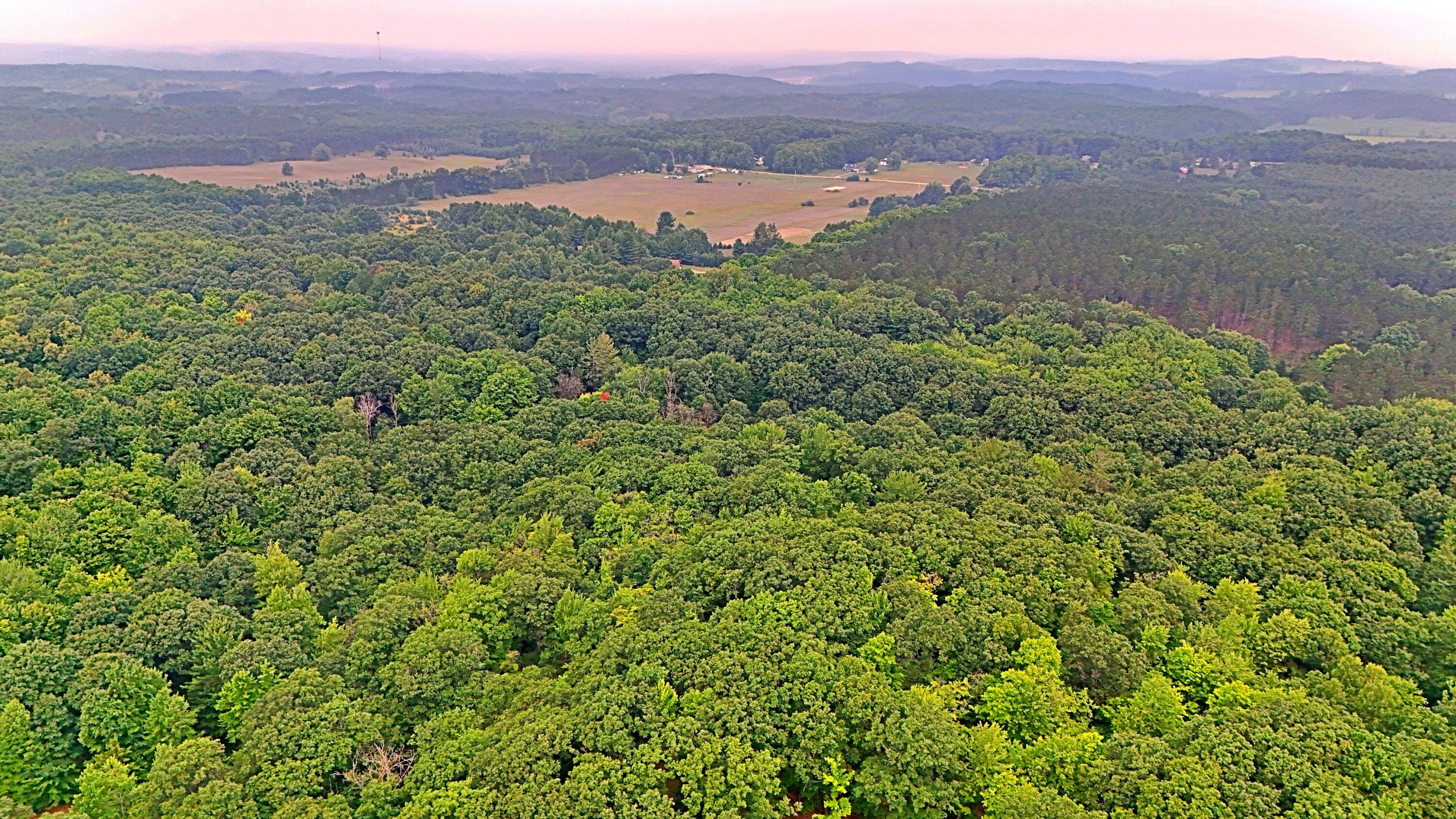 2093 North 47 Road Manton, MI 49663 - Photo 18 of 19 batch_DJI_20250730090455_0250_D