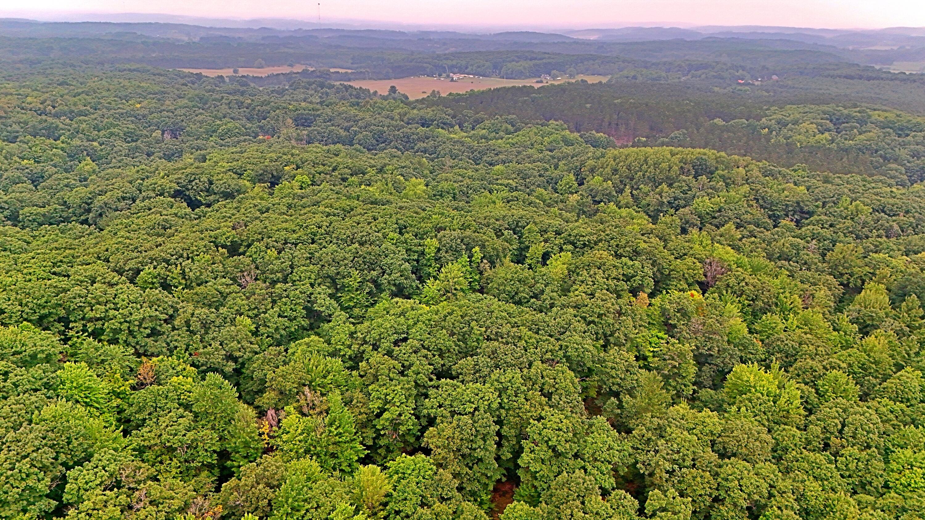 2093 North 47 Road Manton, MI 49663 - Photo 19 of 19 batch_DJI_20250730090534_0252_D