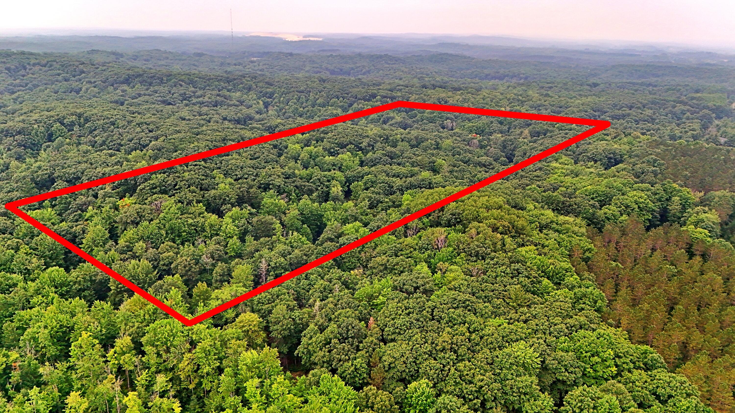 2093 North 47 Road Manton, MI 49663 - Photo 2 of 19 DJI_20250730090029_0239_D lines