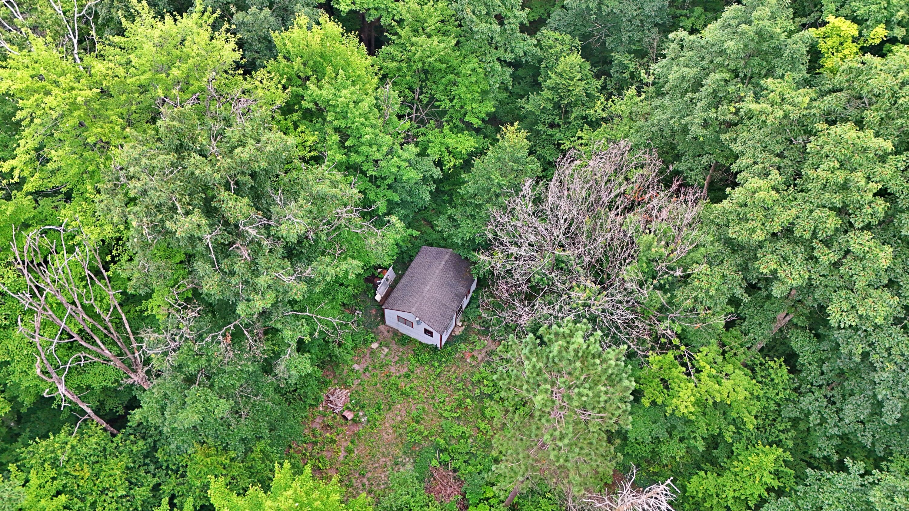 2093 North 47 Road Manton, MI 49663 - Photo 3 of 19 DJI_20250730085609_0231_D