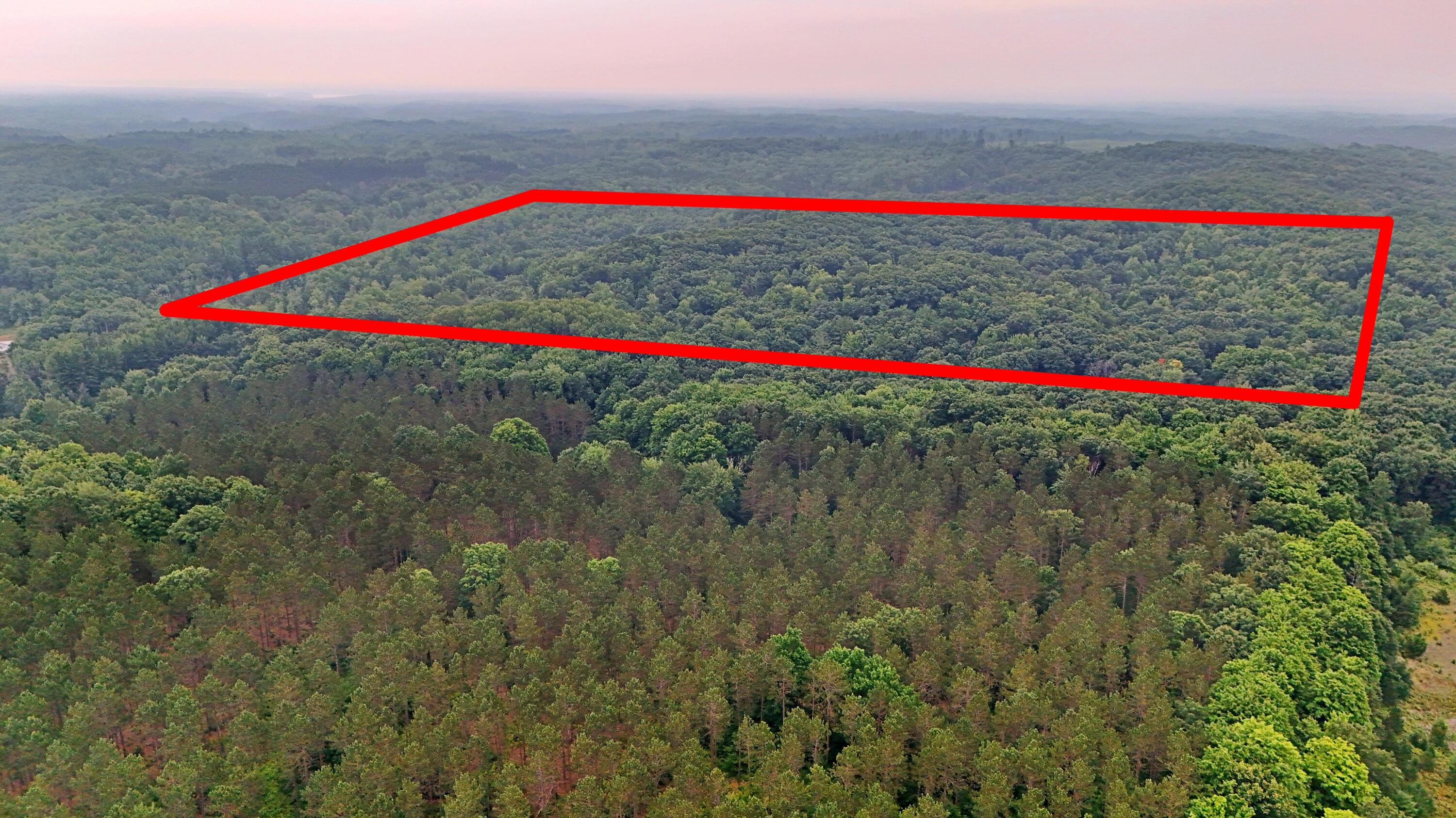 2093 North 47 Road Manton, MI 49663 - Photo 4 of 19 DJI_20250730090201_0242_D lines