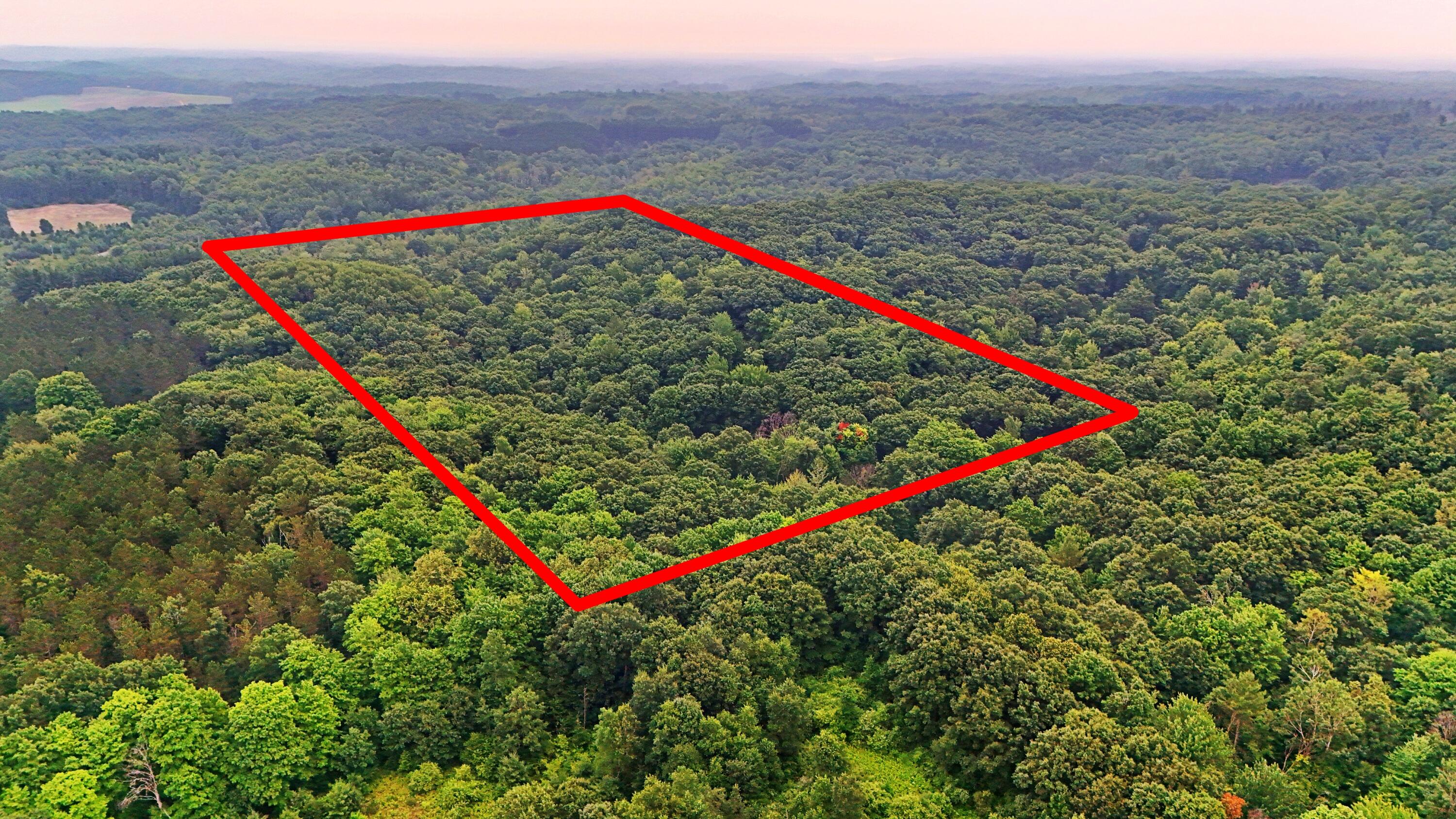 2093 North 47 Road Manton, MI 49663 - Photo 5 of 19 DJI_20250730090241_0245_D lines