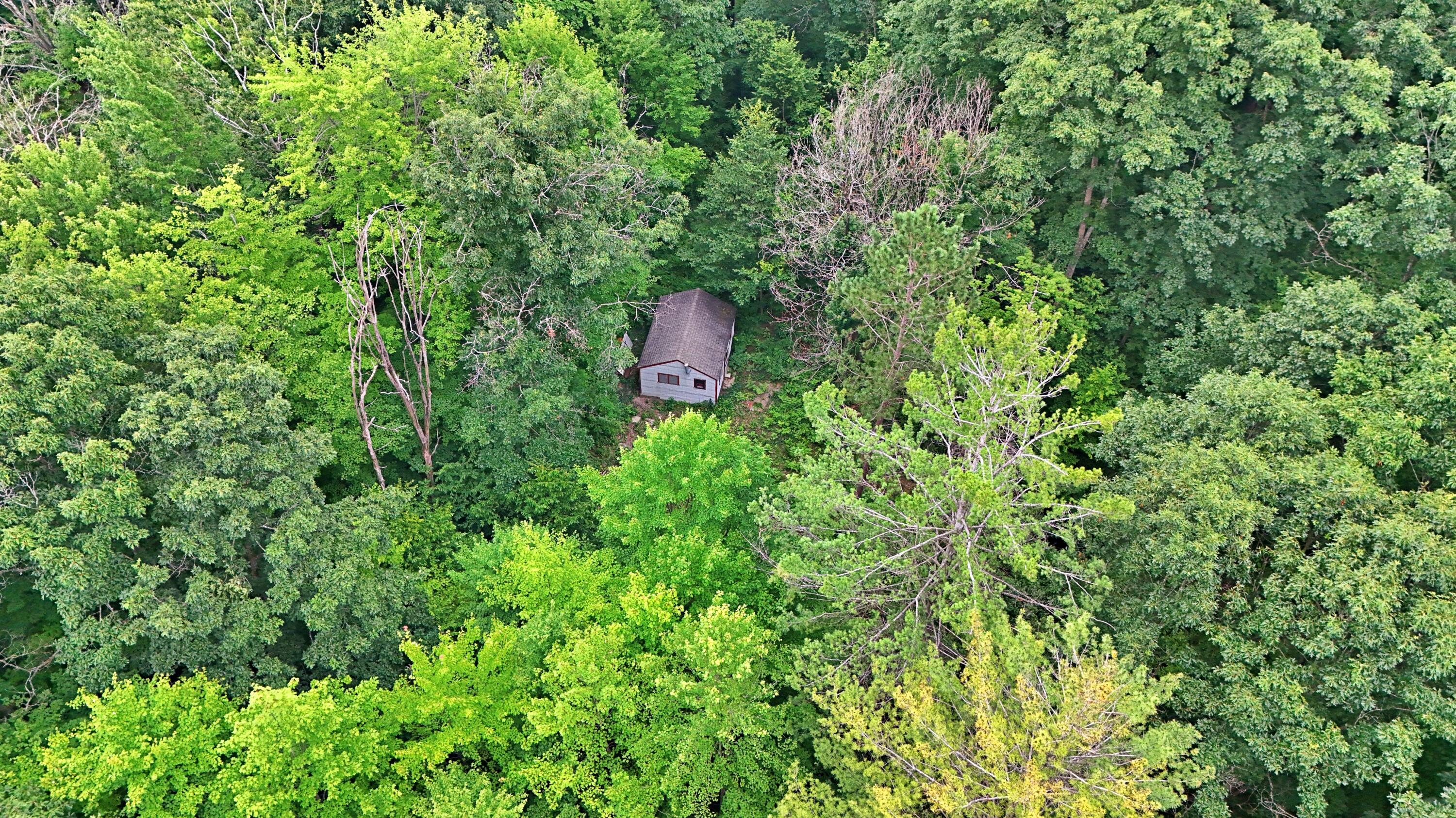 2093 North 47 Road Manton, MI 49663 - Photo 6 of 19 DJI_20250730090729_0255_D