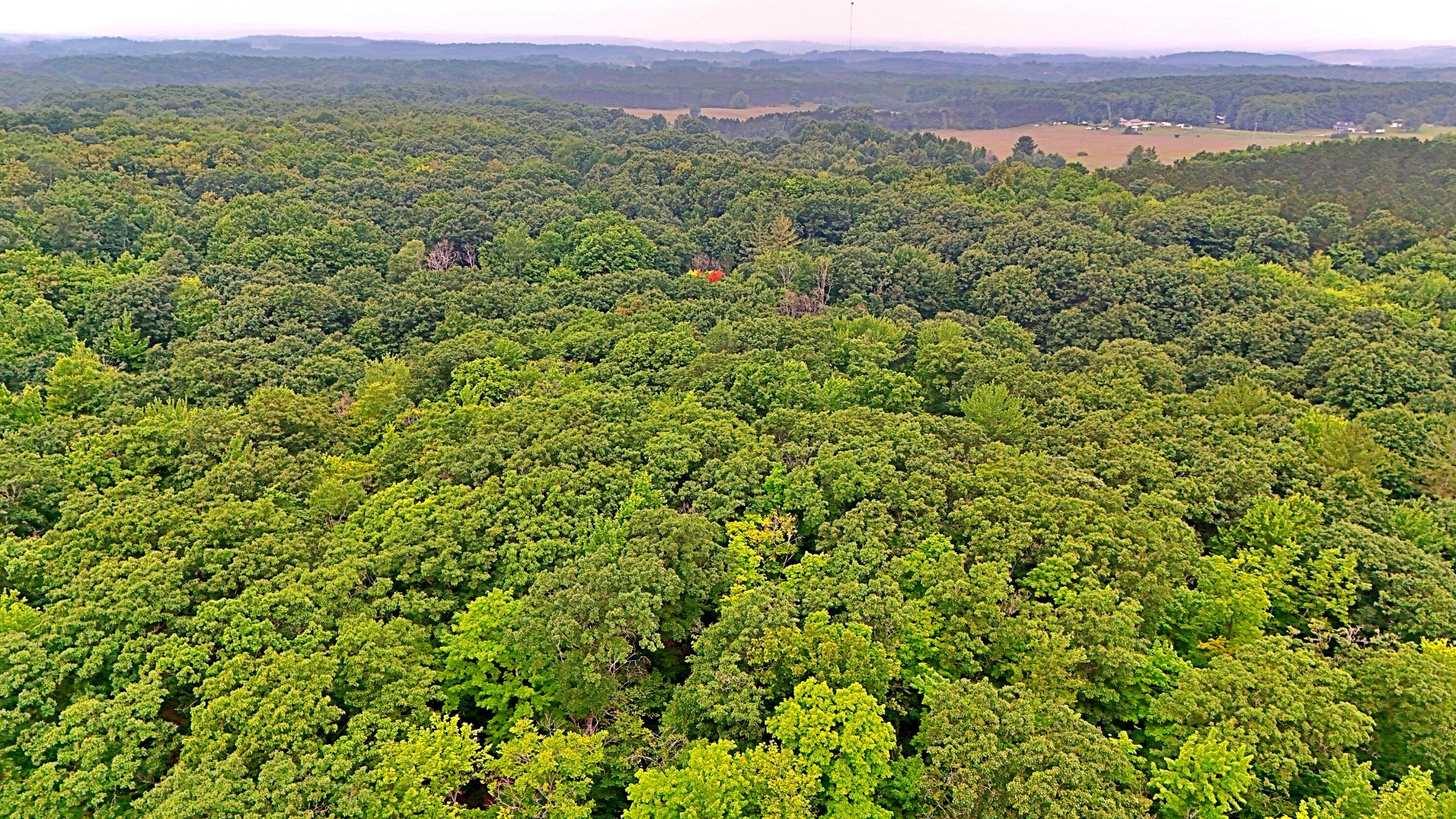 2093 North 47 Road Manton, MI 49663 - Photo 8 of 19 batch_DJI_20250730090612_0254_D