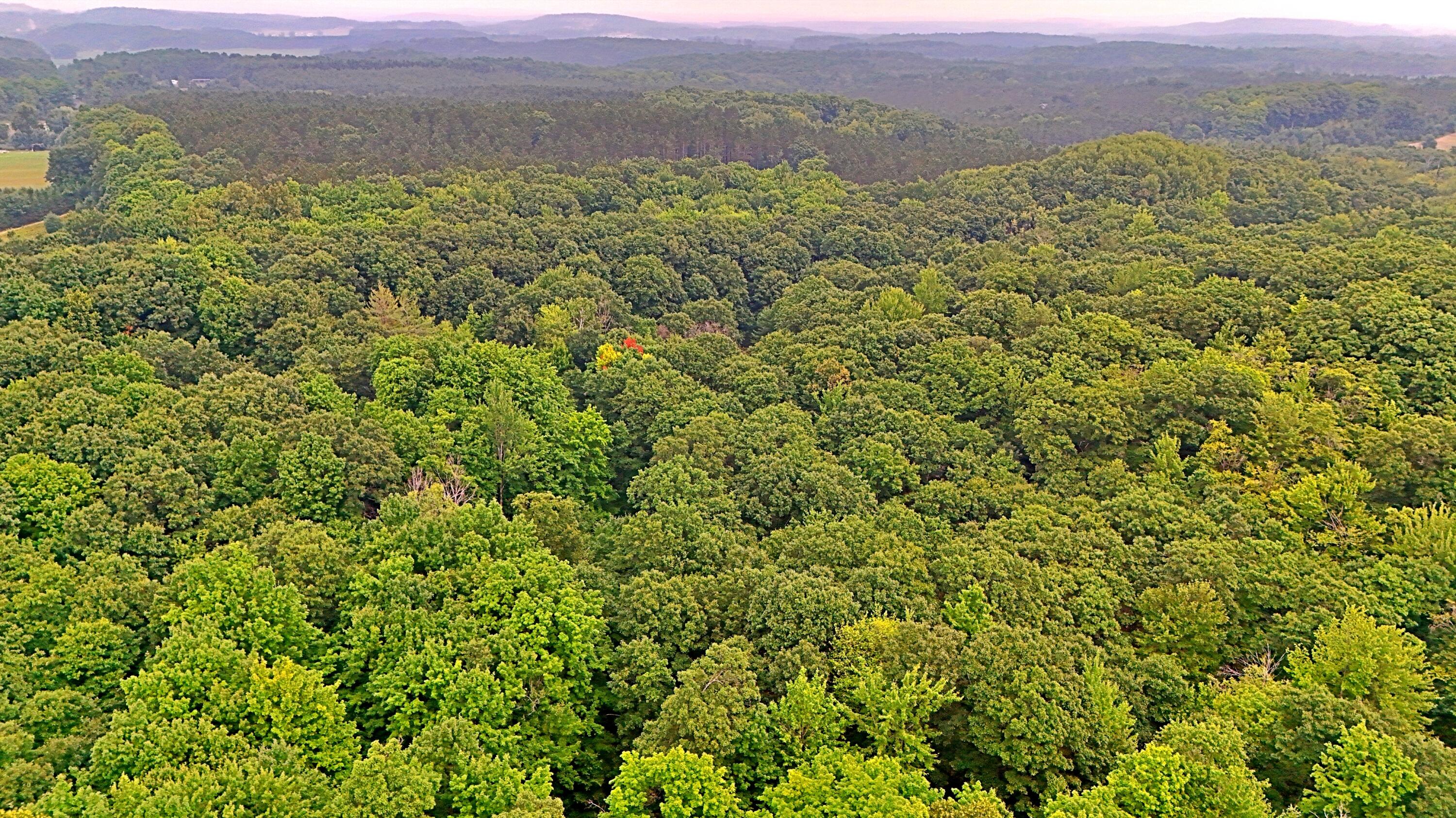 2093 North 47 Road Manton, MI 49663 - Photo 10 of 19 batch_DJI_20250730085811_0234_D