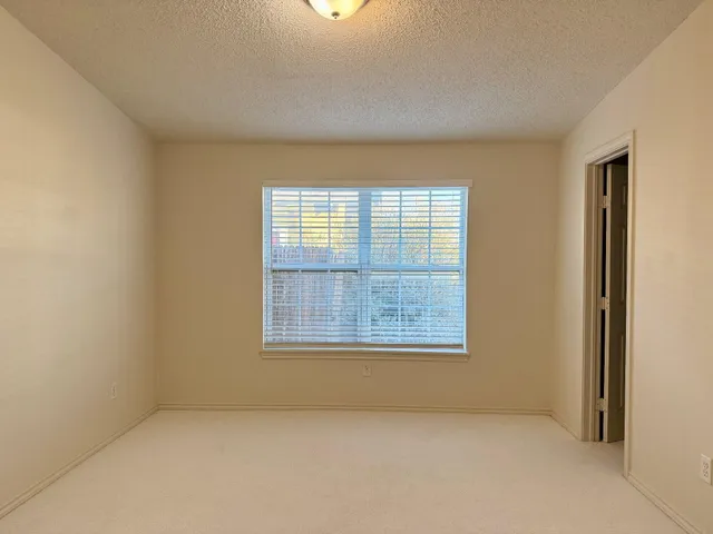 a view of a yard with plants and trees