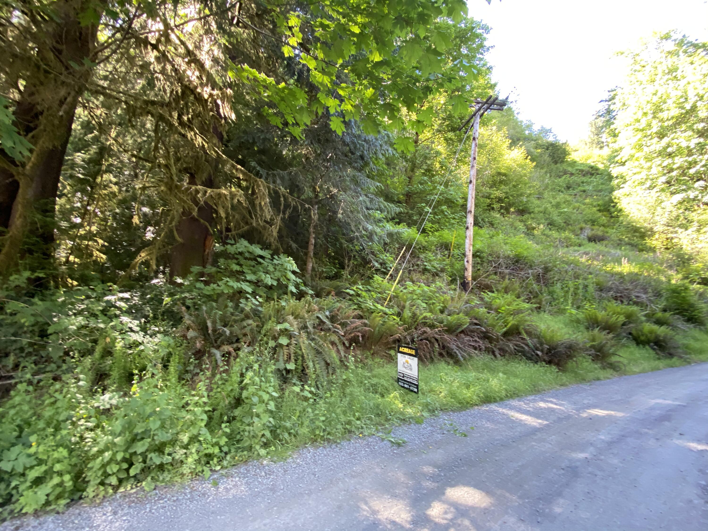 West Point Drive Nehalem, OR 97131 - Photo 10 of 19 Photo Jun 09, 4 21 18 PM