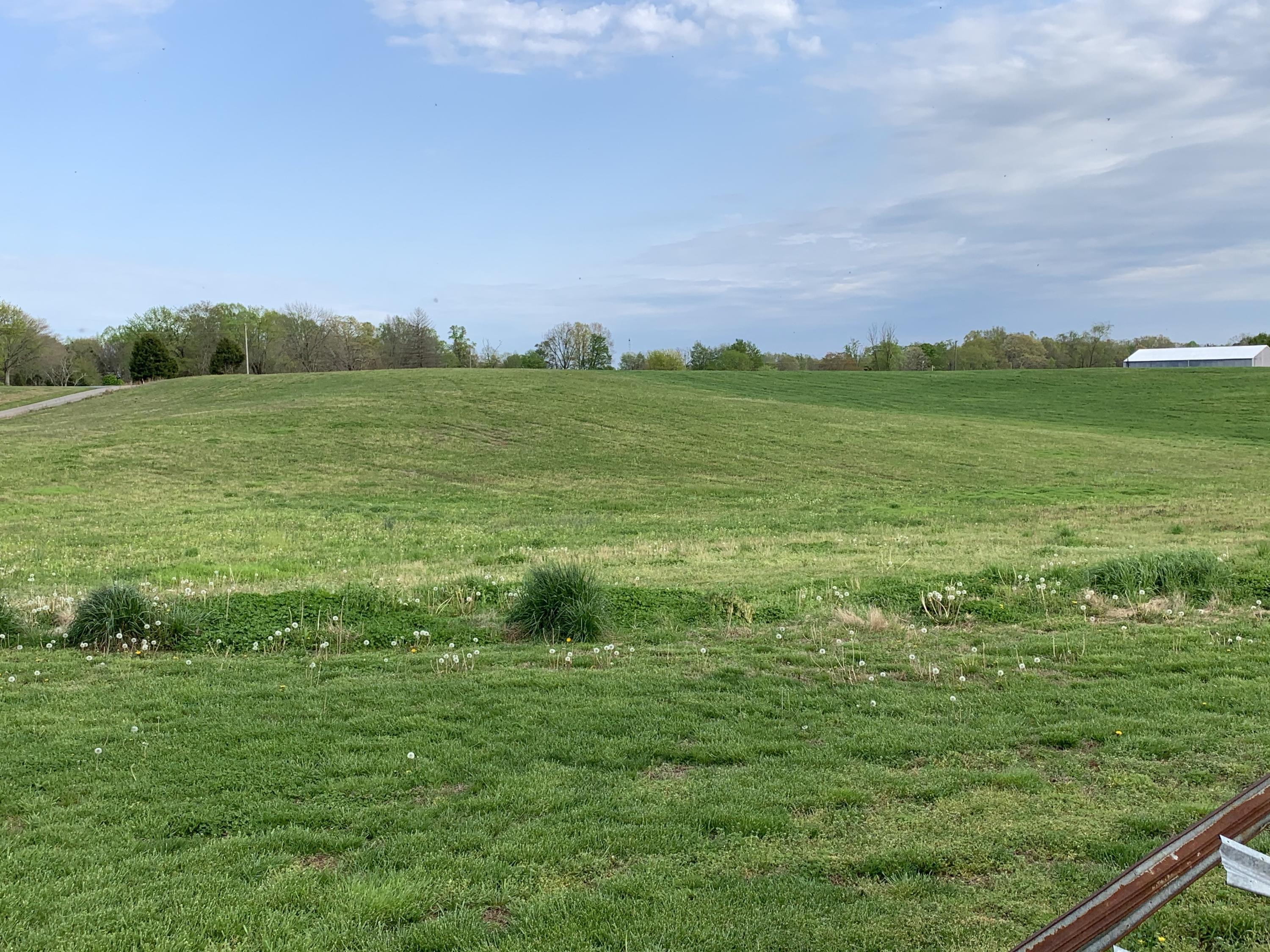 2405 Parks Ridge Road Russell Springs, KY 42642 - Photo 20 of 28 55